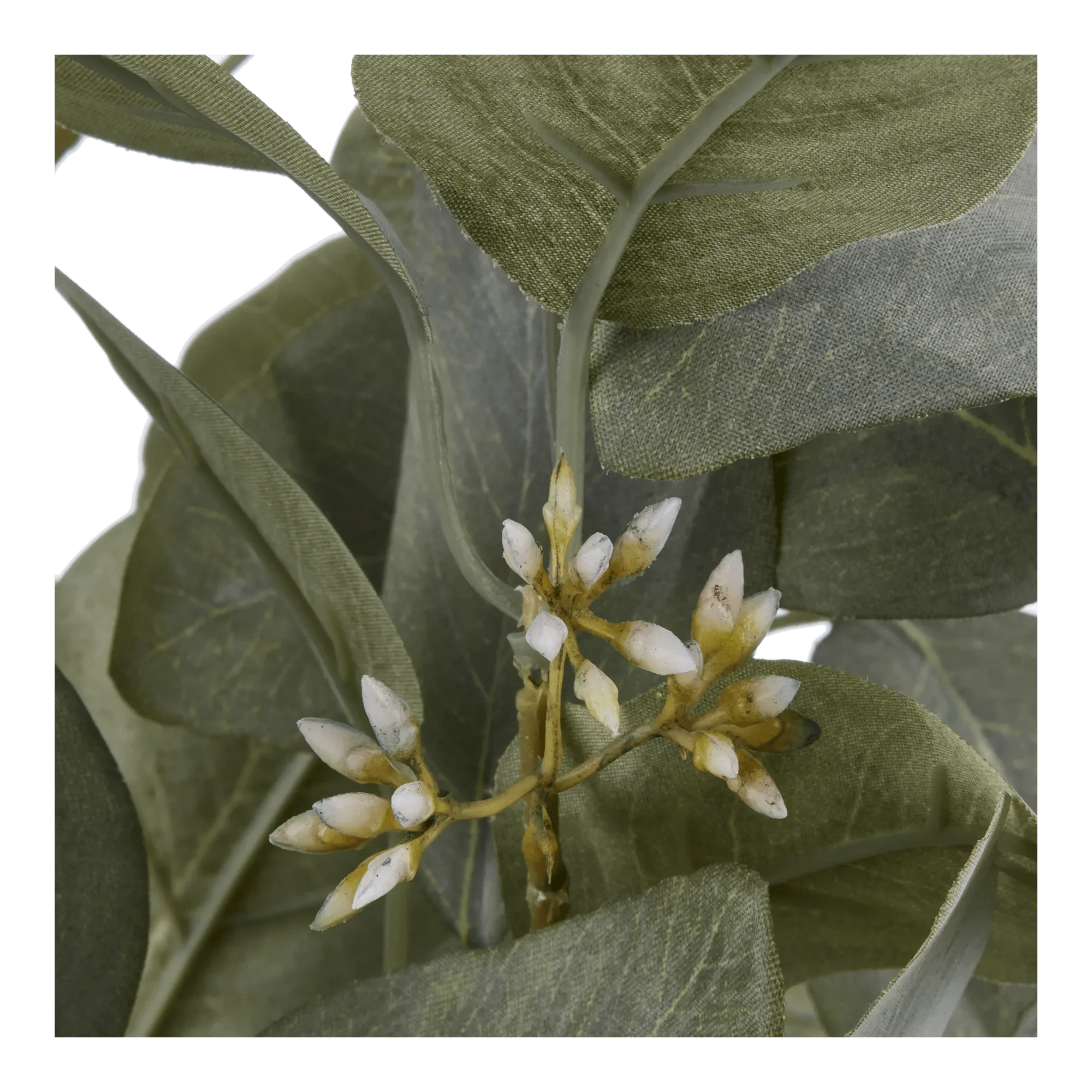 Aritificial Eucalyptus Plant in Ceramic Pot - Image 3