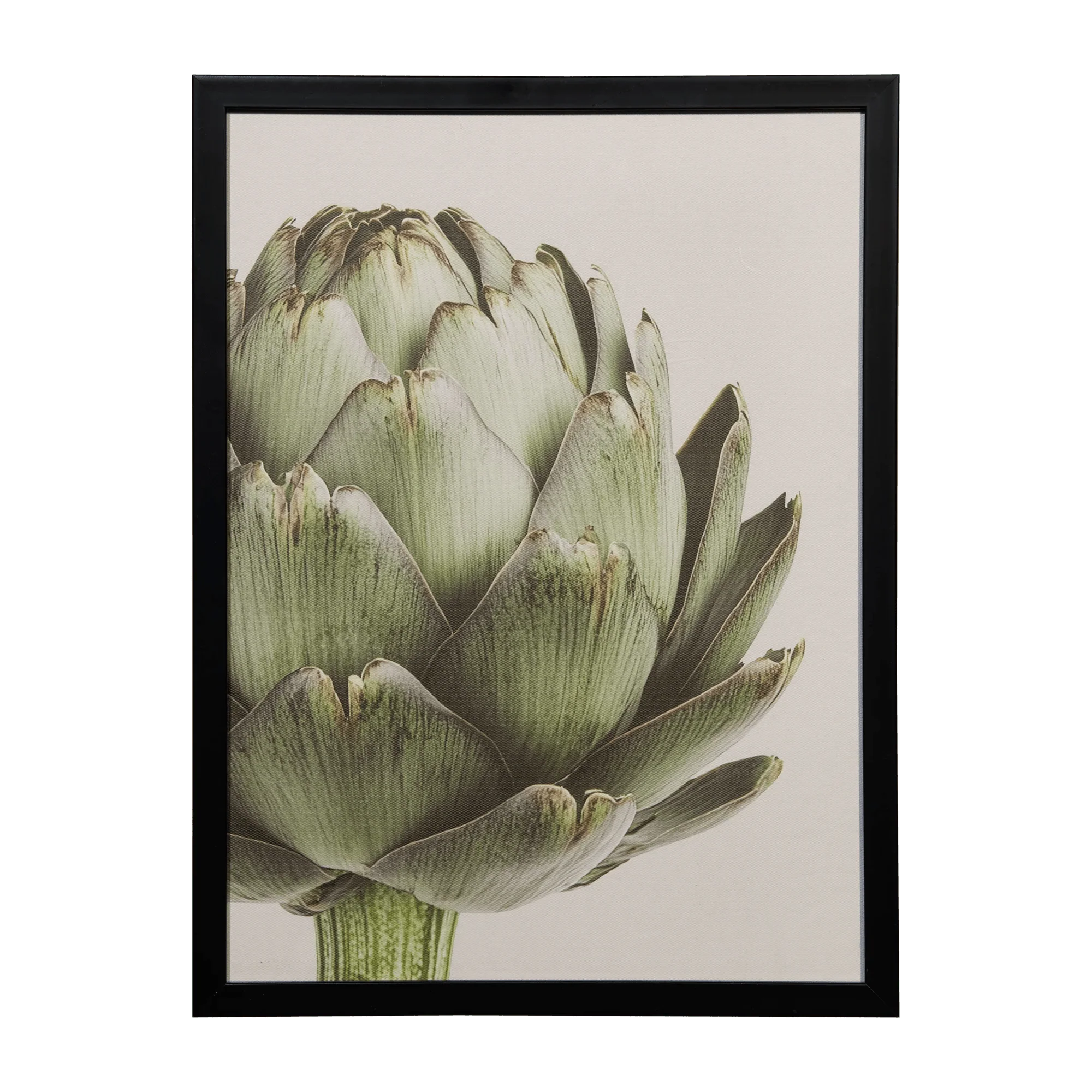 Artichoke Printed Framed Art Under glass