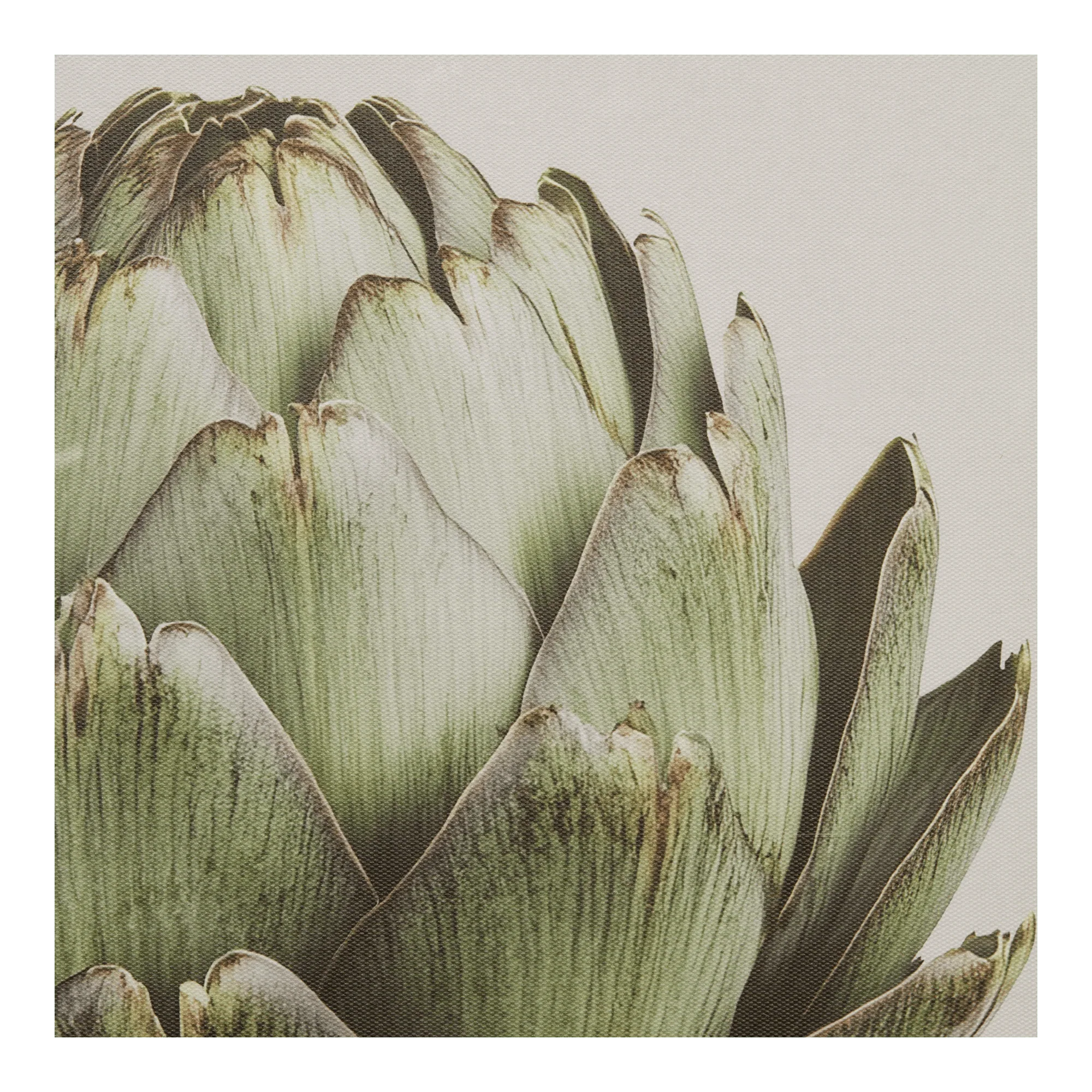 Artichoke Printed Framed Art Under glass - Image 2