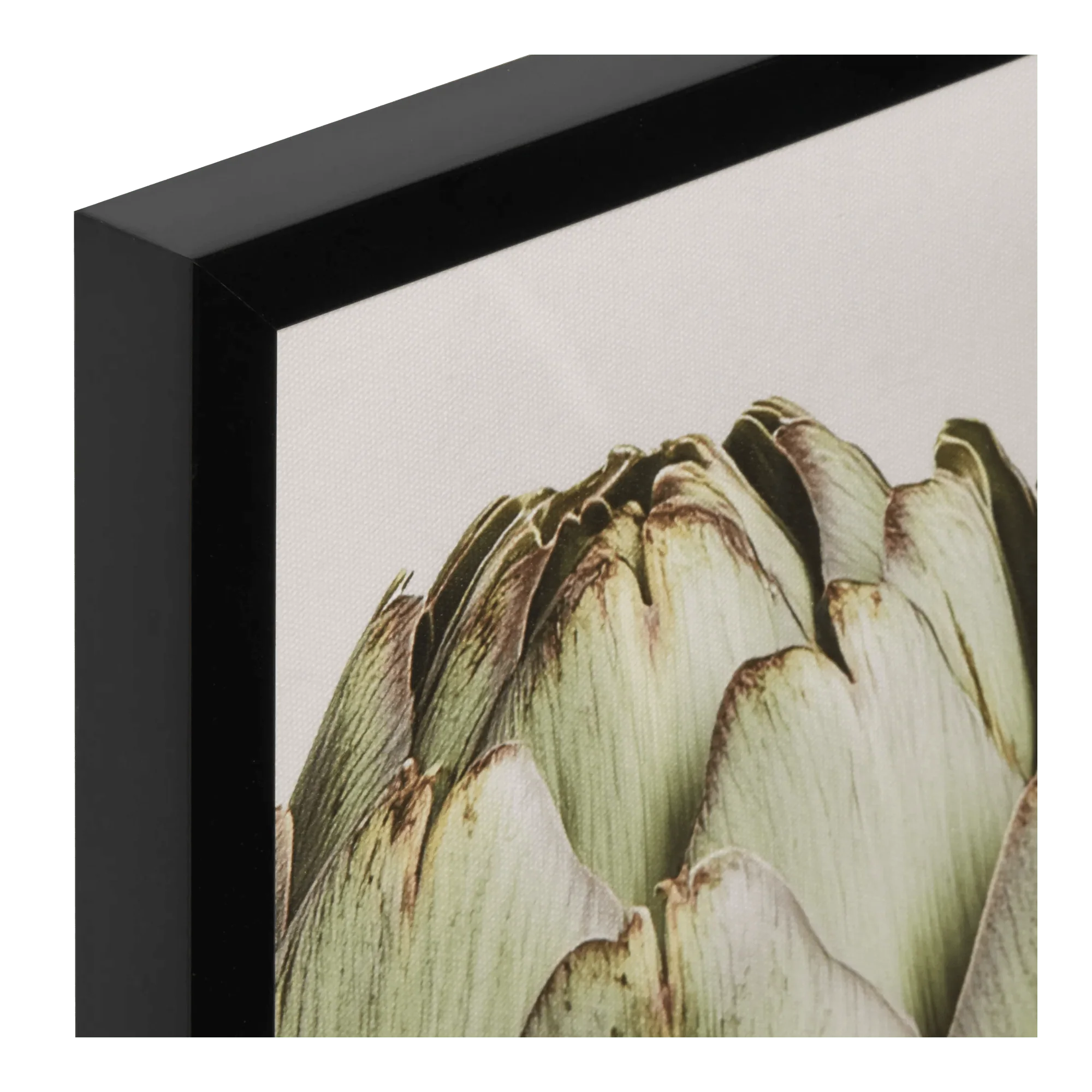 Artichoke Printed Framed Art Under glass - Image 3