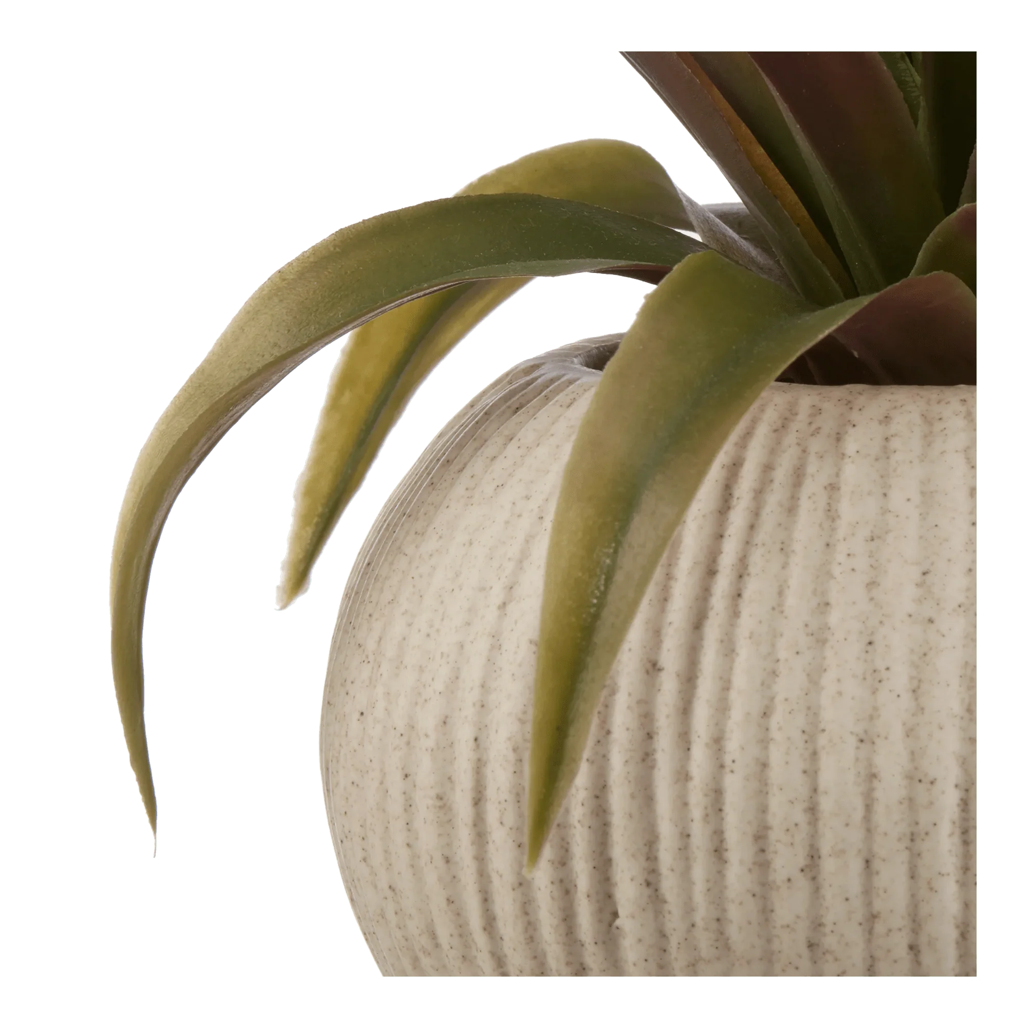 Artificial Agave Plant in Ribbed Pot - Image 2