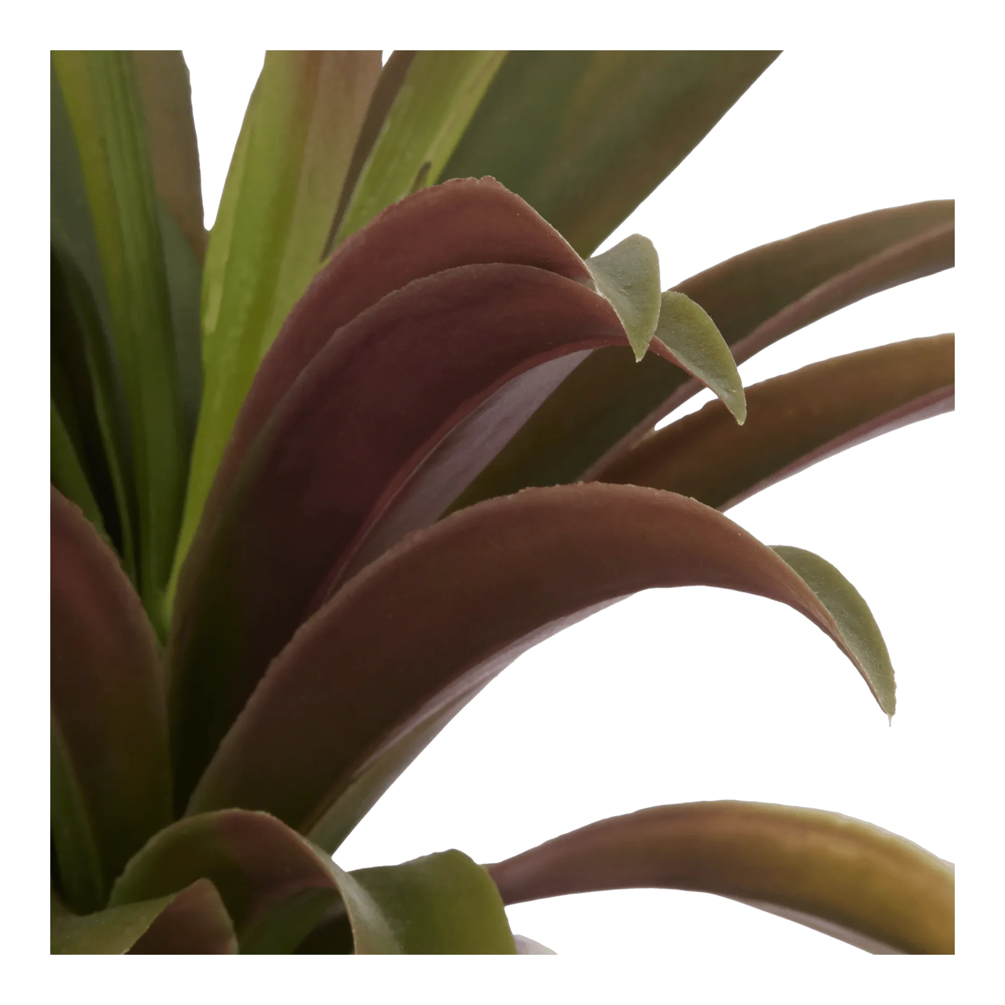 Artificial Agave Plant in Ribbed Pot - Image 3