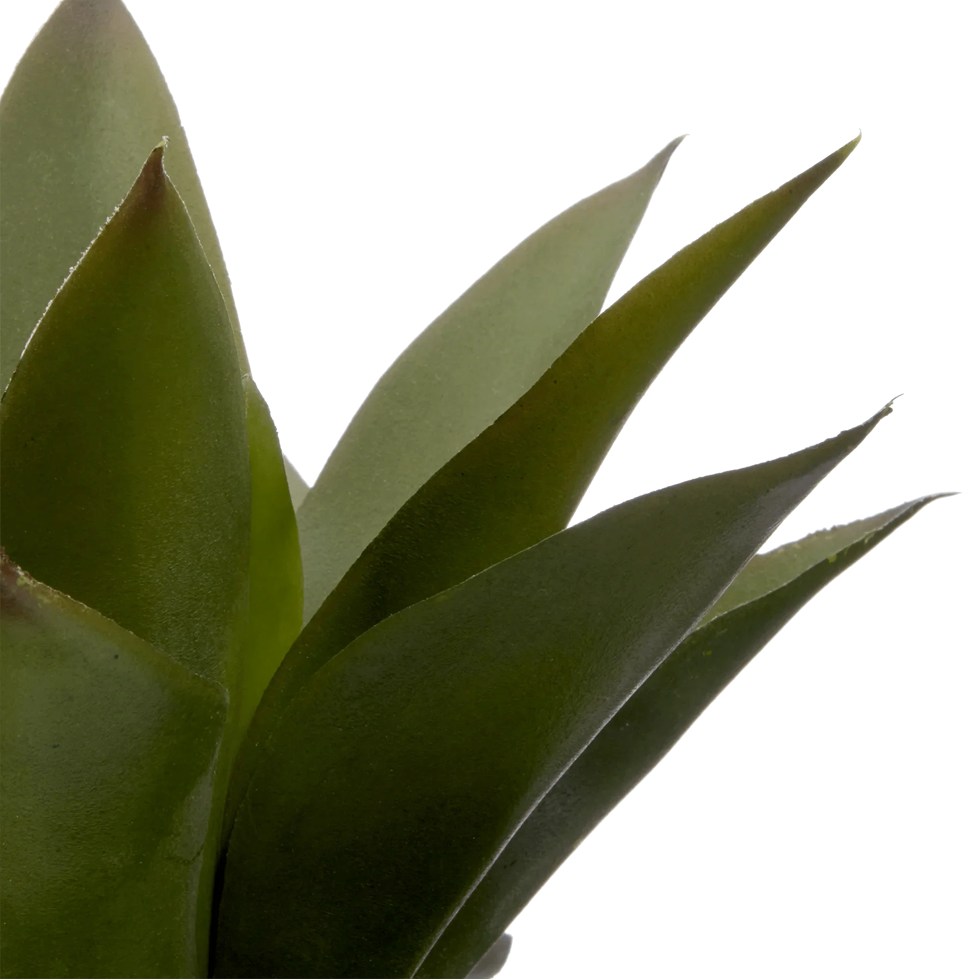 Artificial Aloe in Ceramic Pot - Image 3