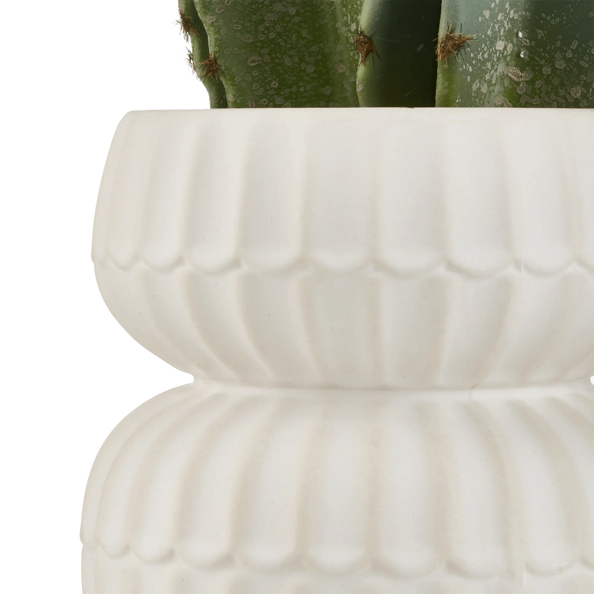 Artificial Cactus in Ceramic Pot - Image 4