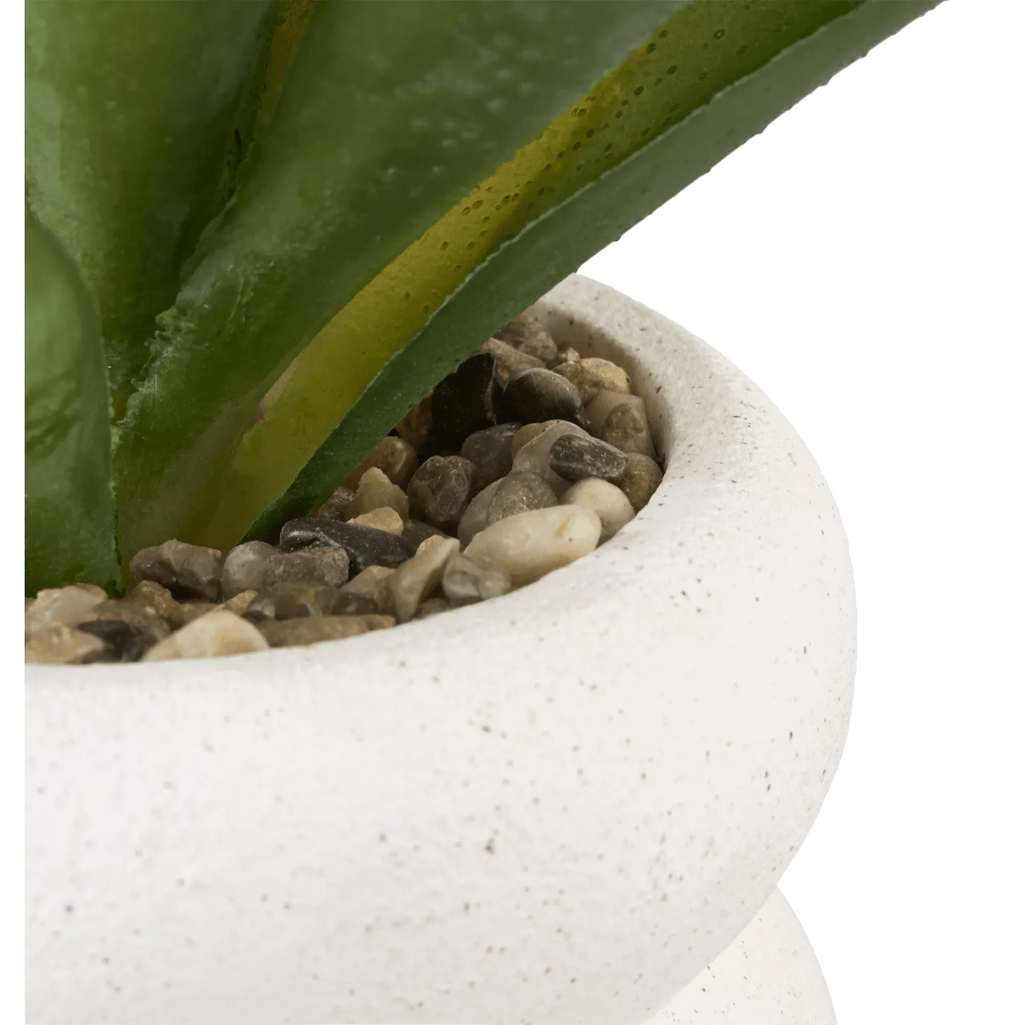 Artificial Cast-Iron Plant in White Speckled Pot - Image 4