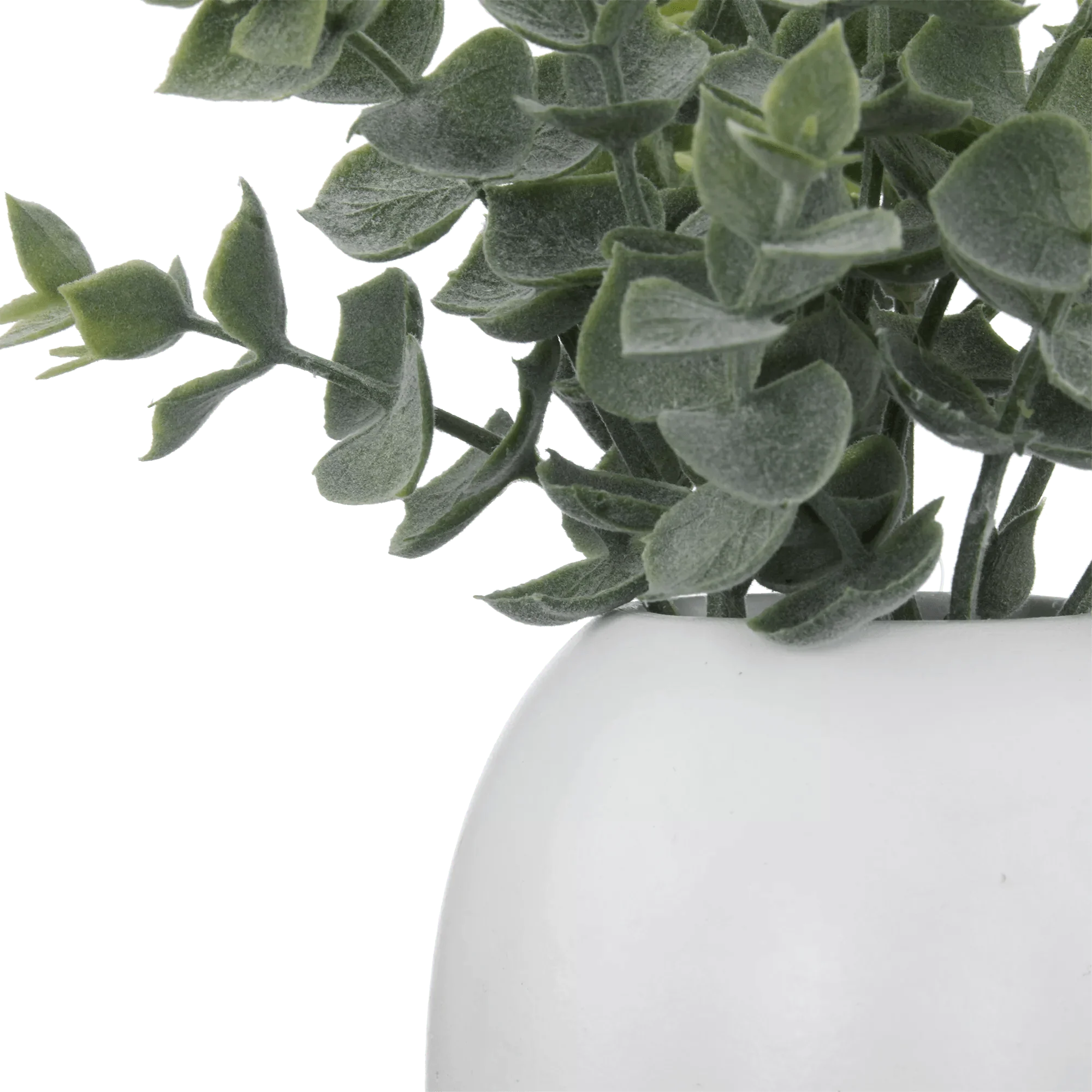 Artificial Eucalyptus in Ceramic Pot - Image 2