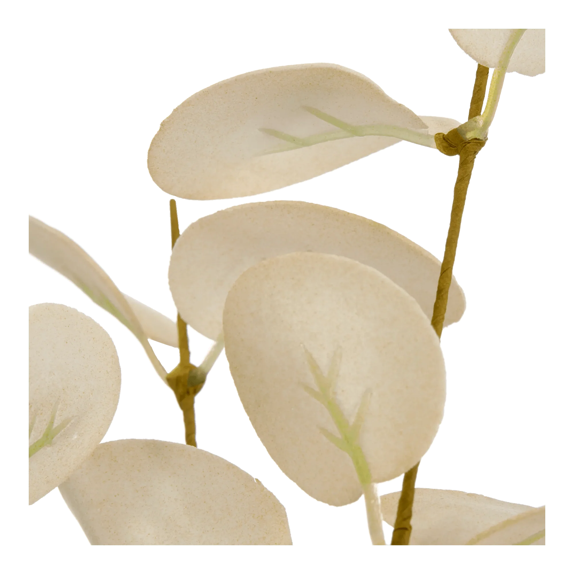 Artificial Eucalyptus Leaf Stem - Image 2