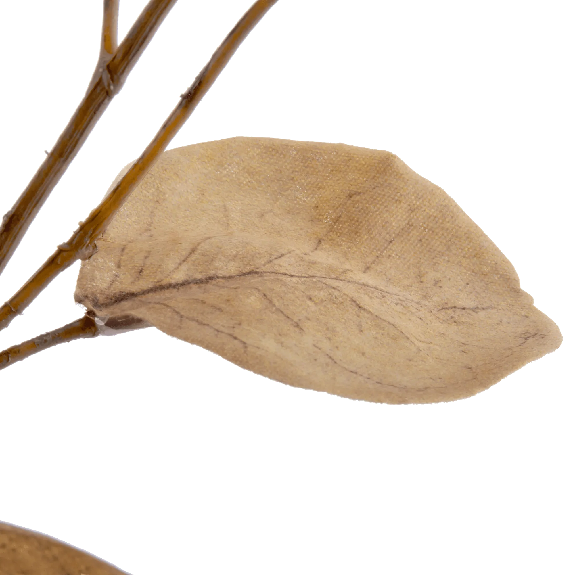 Artificial Eucalyptus Stem - Image 2