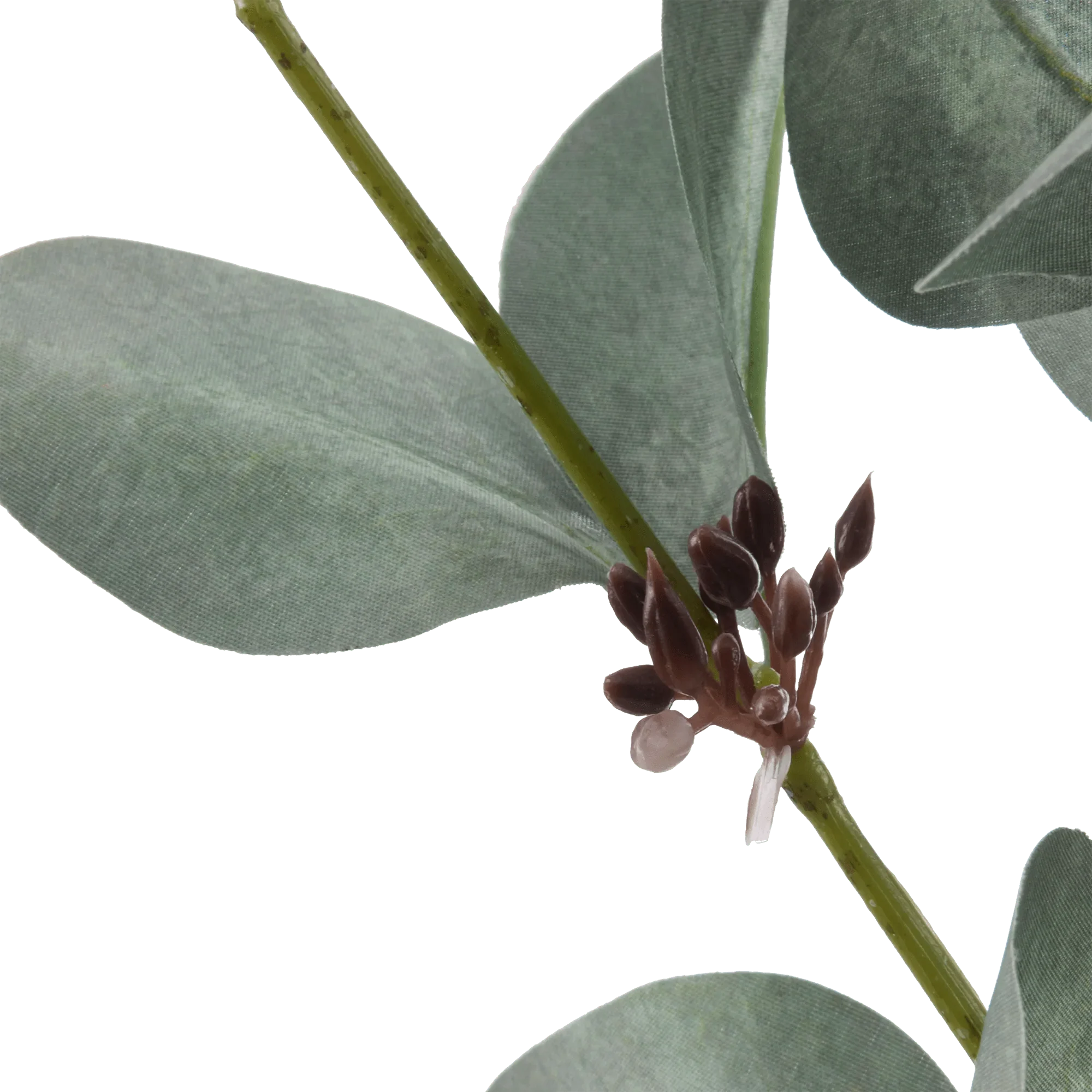 Artificial Eucalyptus Stem - Image 2