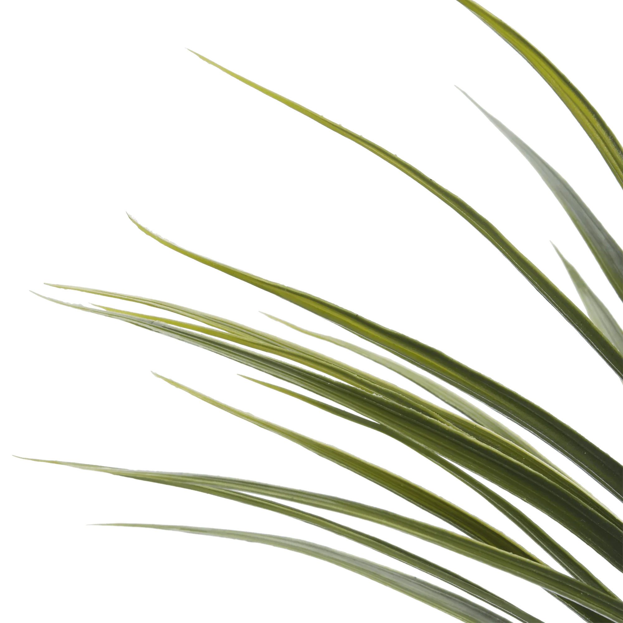 Artificial Exotic Floor Plant in White Pot - Image 7