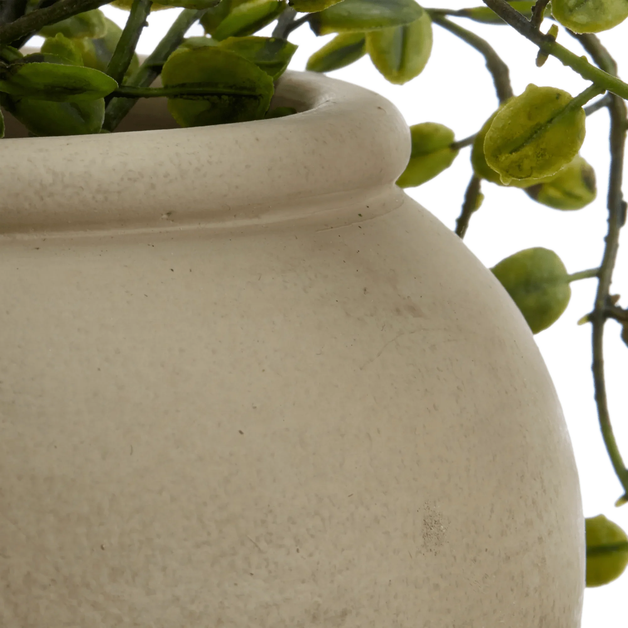 Artificial Fern - Image 2