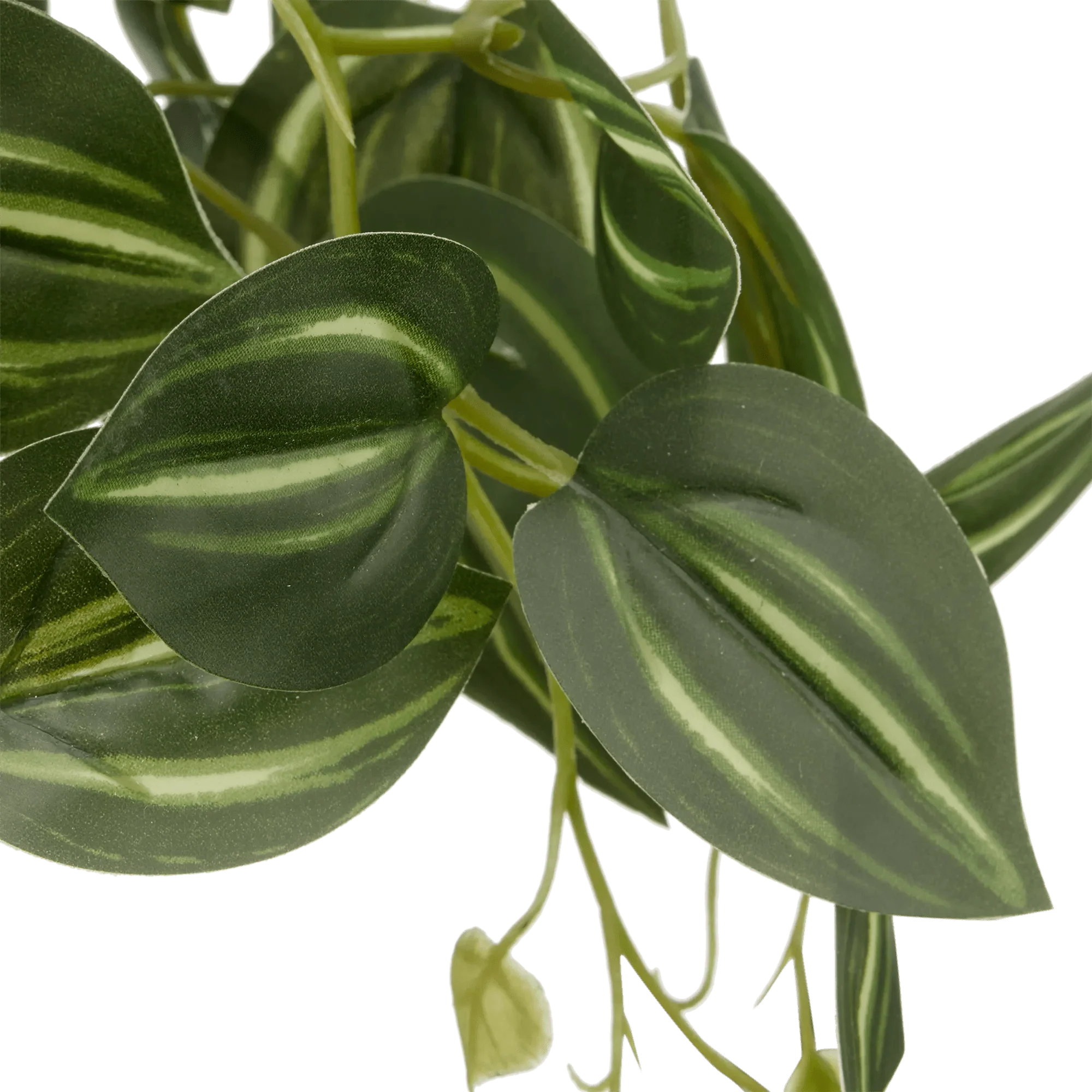 Artificial Fittonia in Wood Pot - Image 2