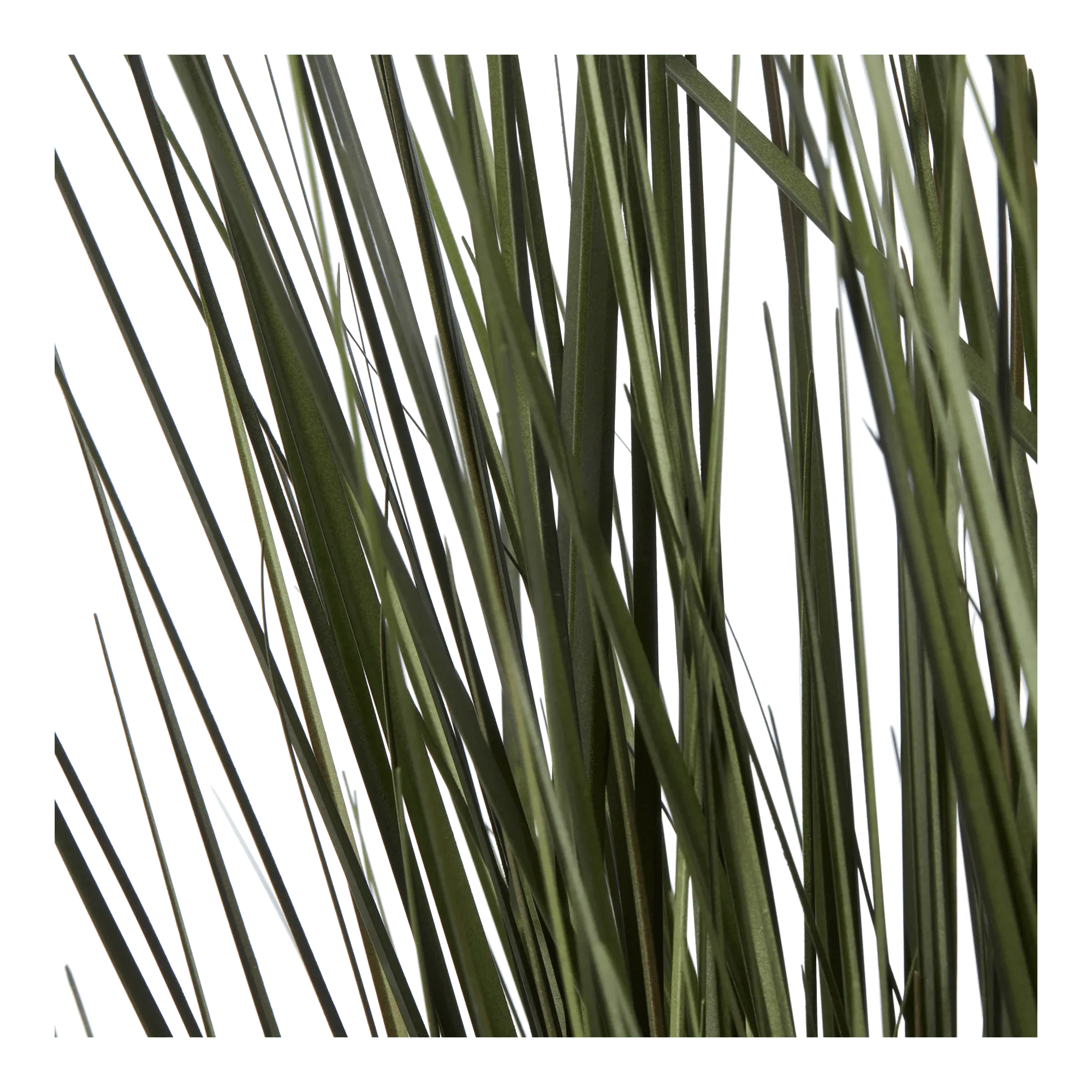 Artificial Grass in Black Ceramic Pot - Image 3