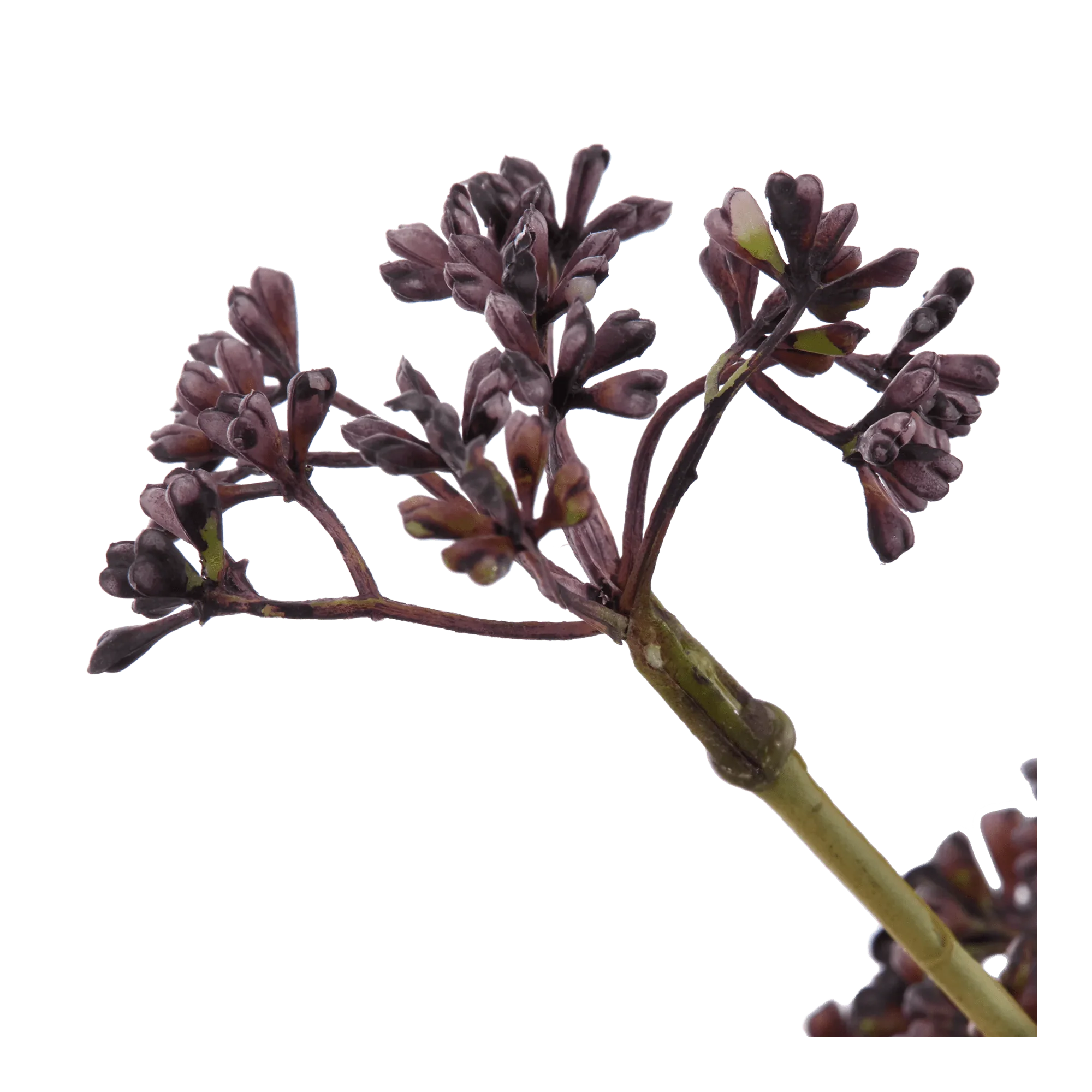 Artificial Hemlock Flower Stem - Image 2
