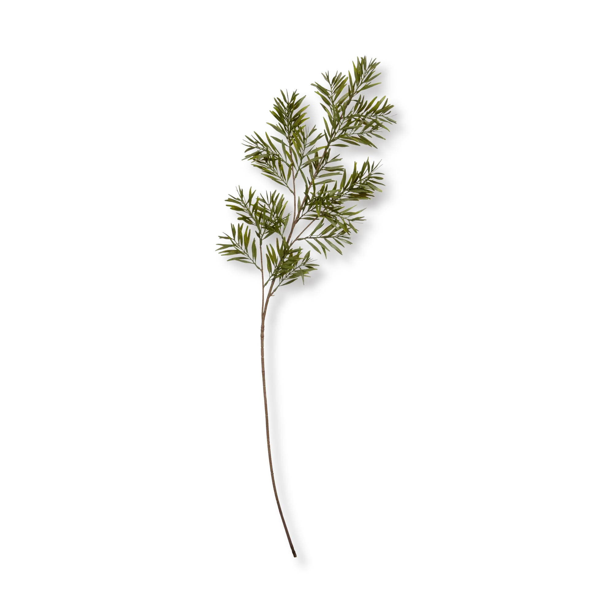 Artificial Leaves