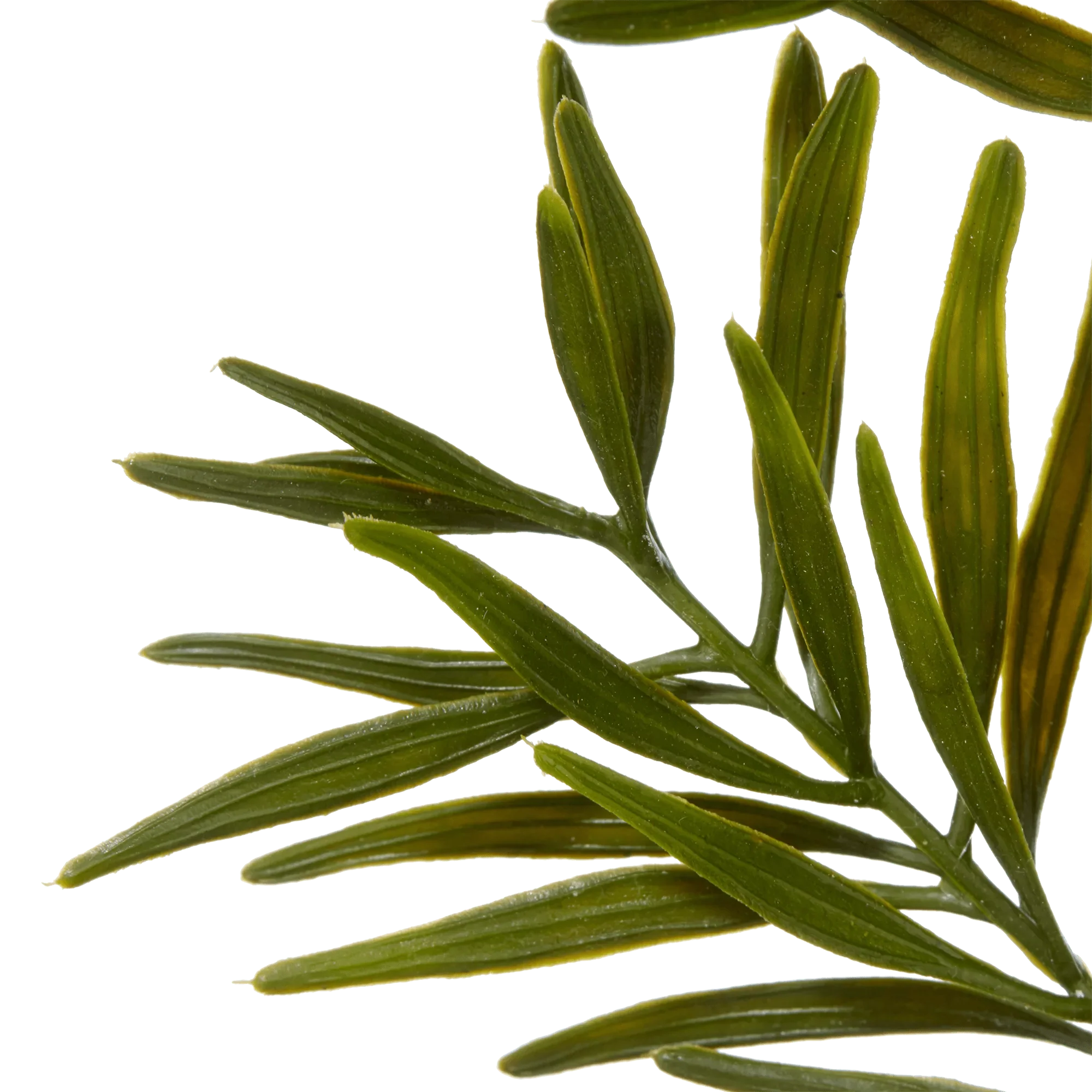 Artificial Leaves - Image 2