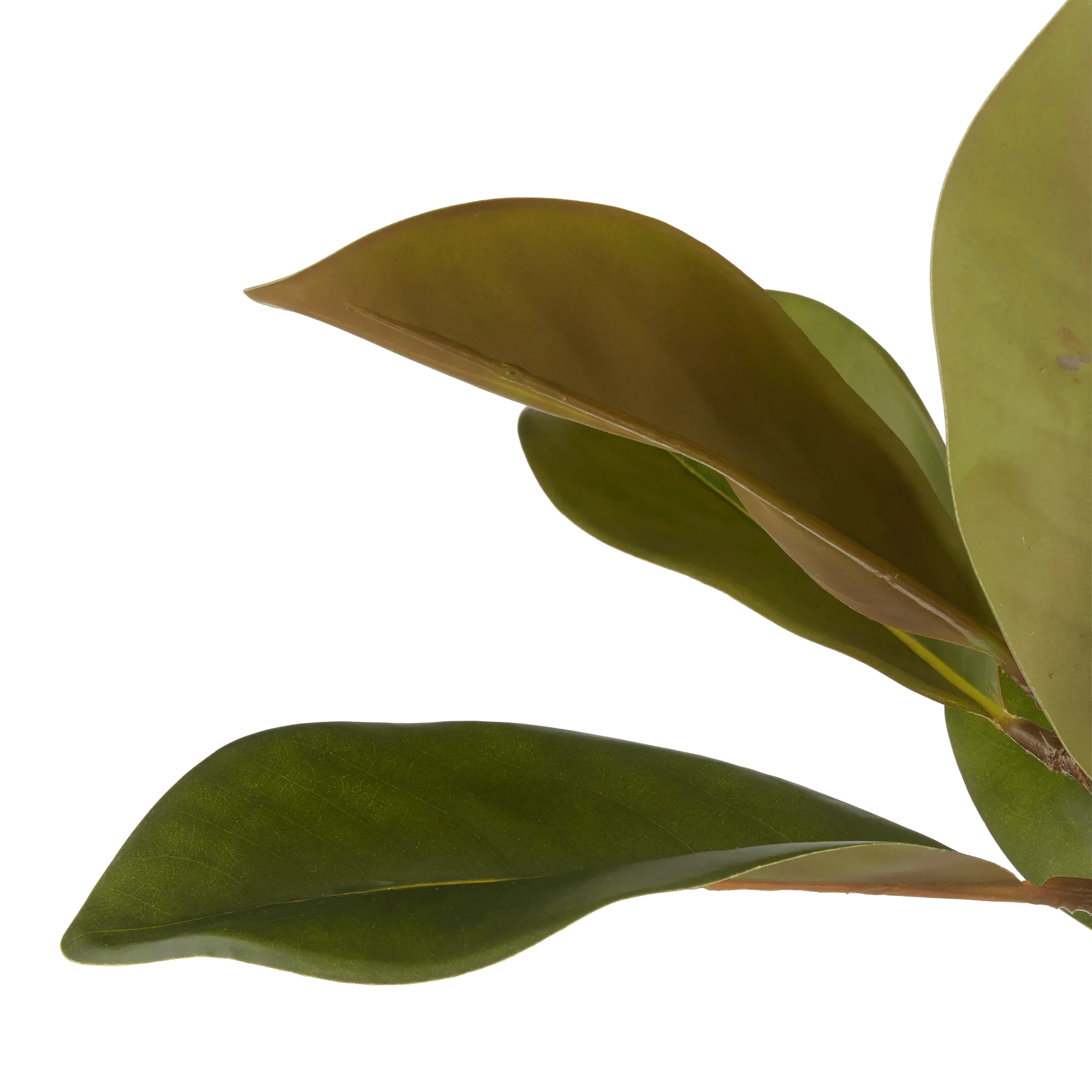 Artificial Magnolia Tree - Image 3