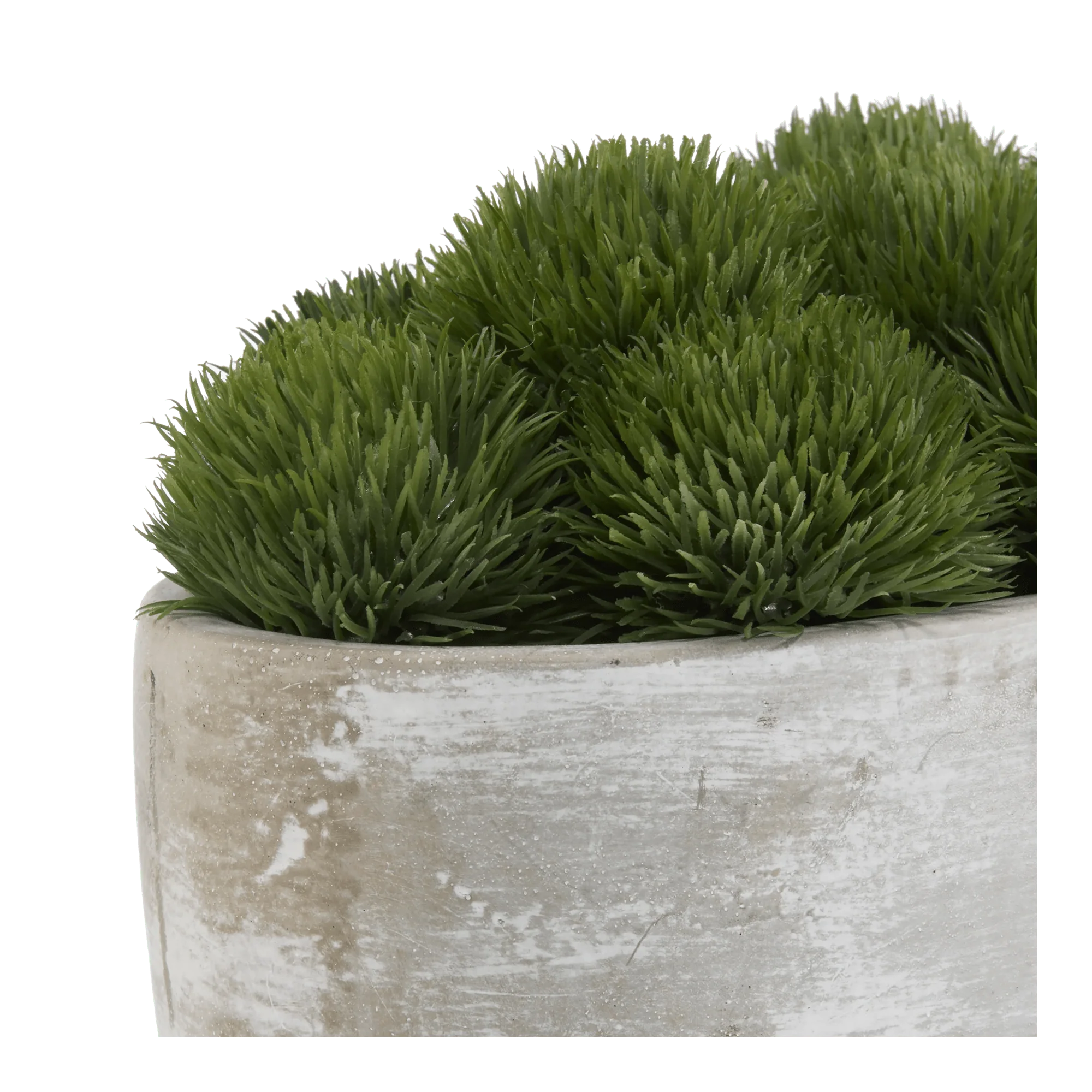 Artificial Moss in Cement Pot - Image 3