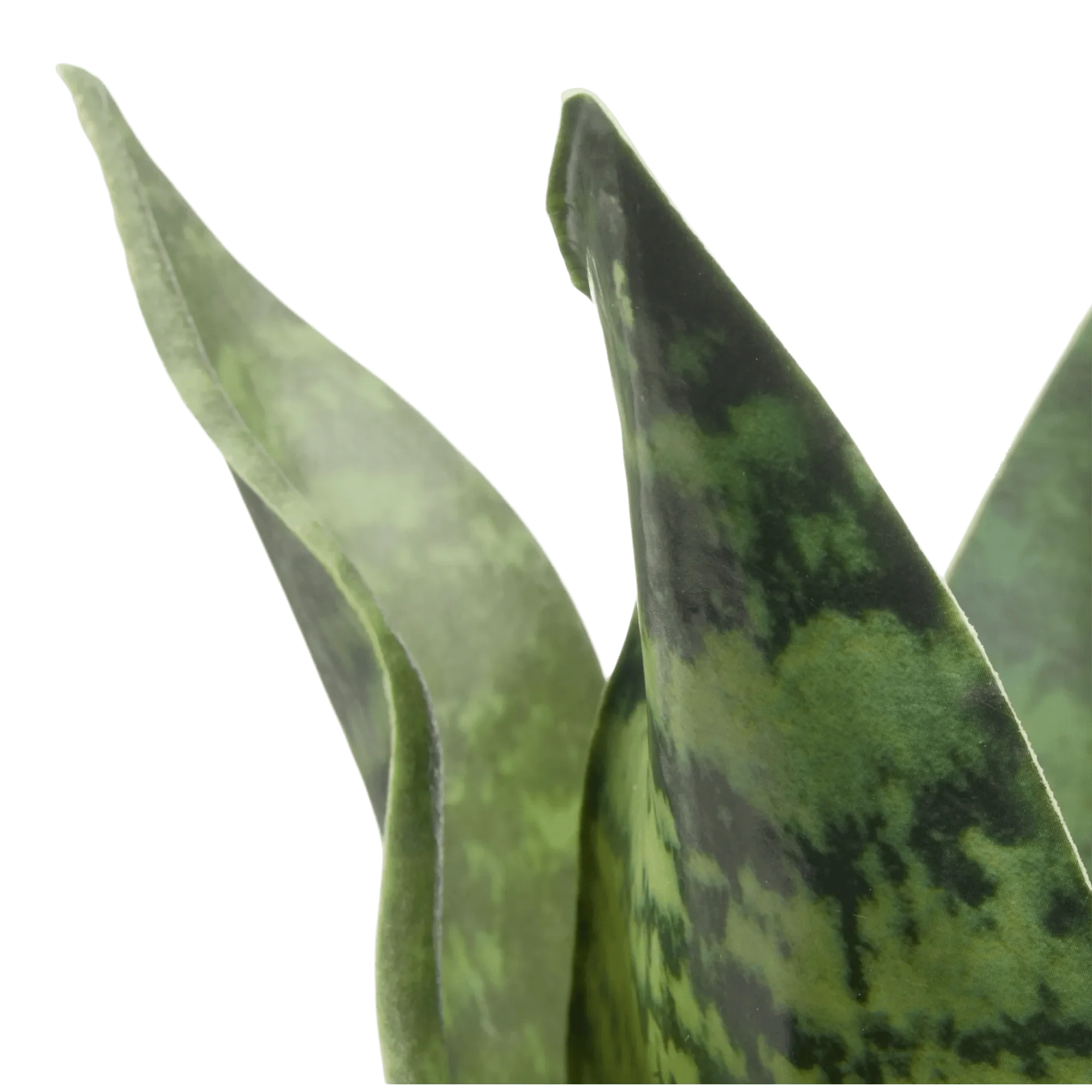 Artificial Plant in Black Matte Ceramic Pot - Image 5