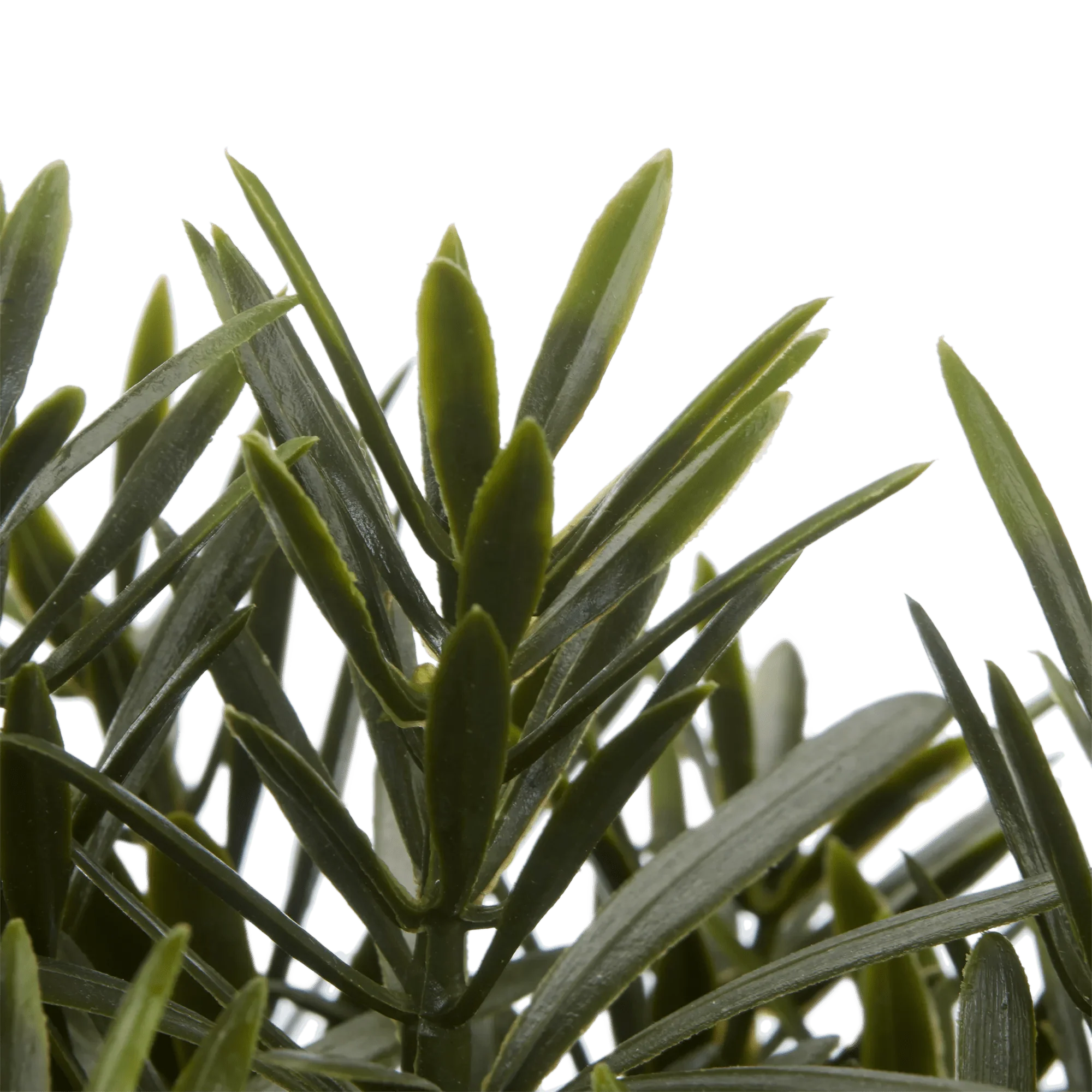 Artificial Plant in Ceramic Pot - Image 3