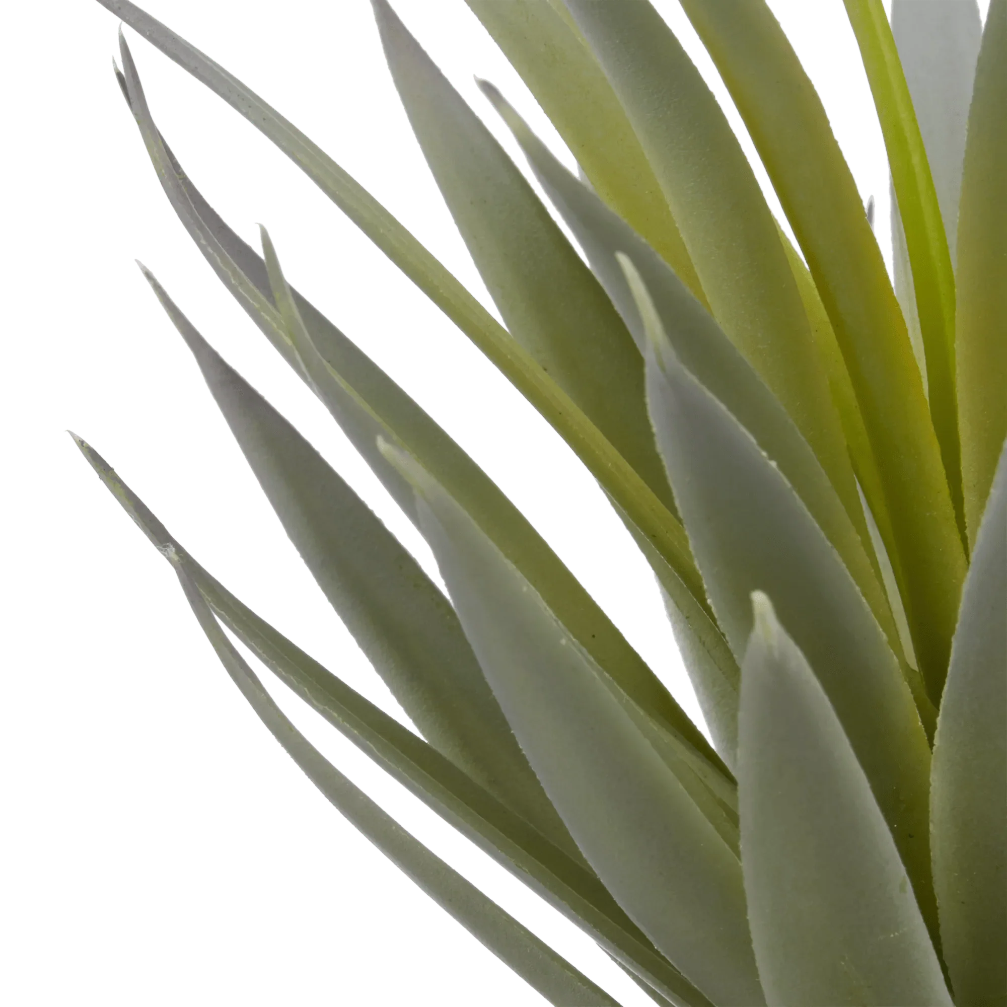 Artificial Plant in Ceramic Pot - Image 2