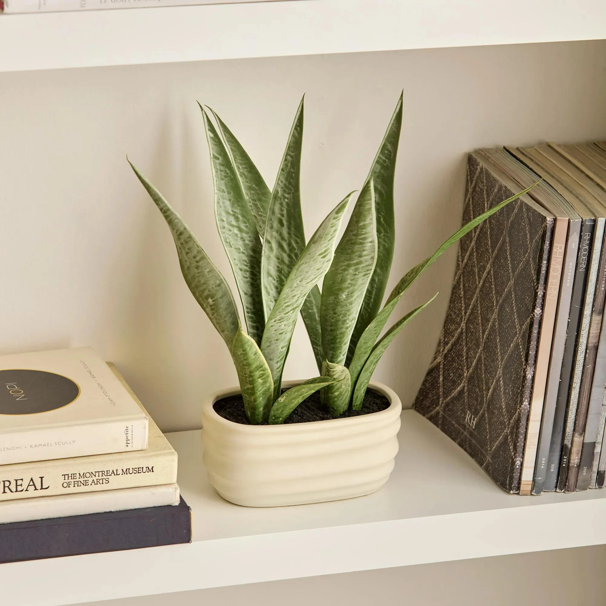 Artificial Plant in Ceramic Pot - Image 3