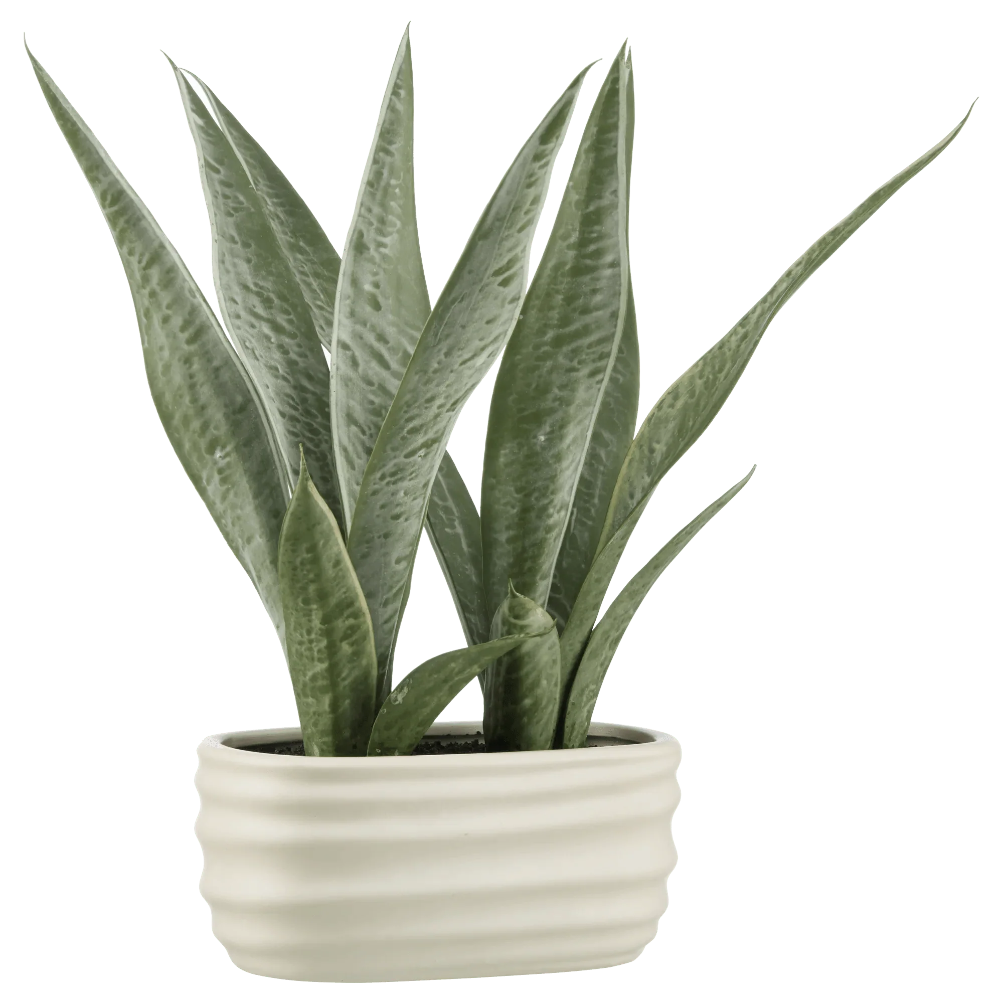 Artificial Plant in Ceramic Pot - Image 8