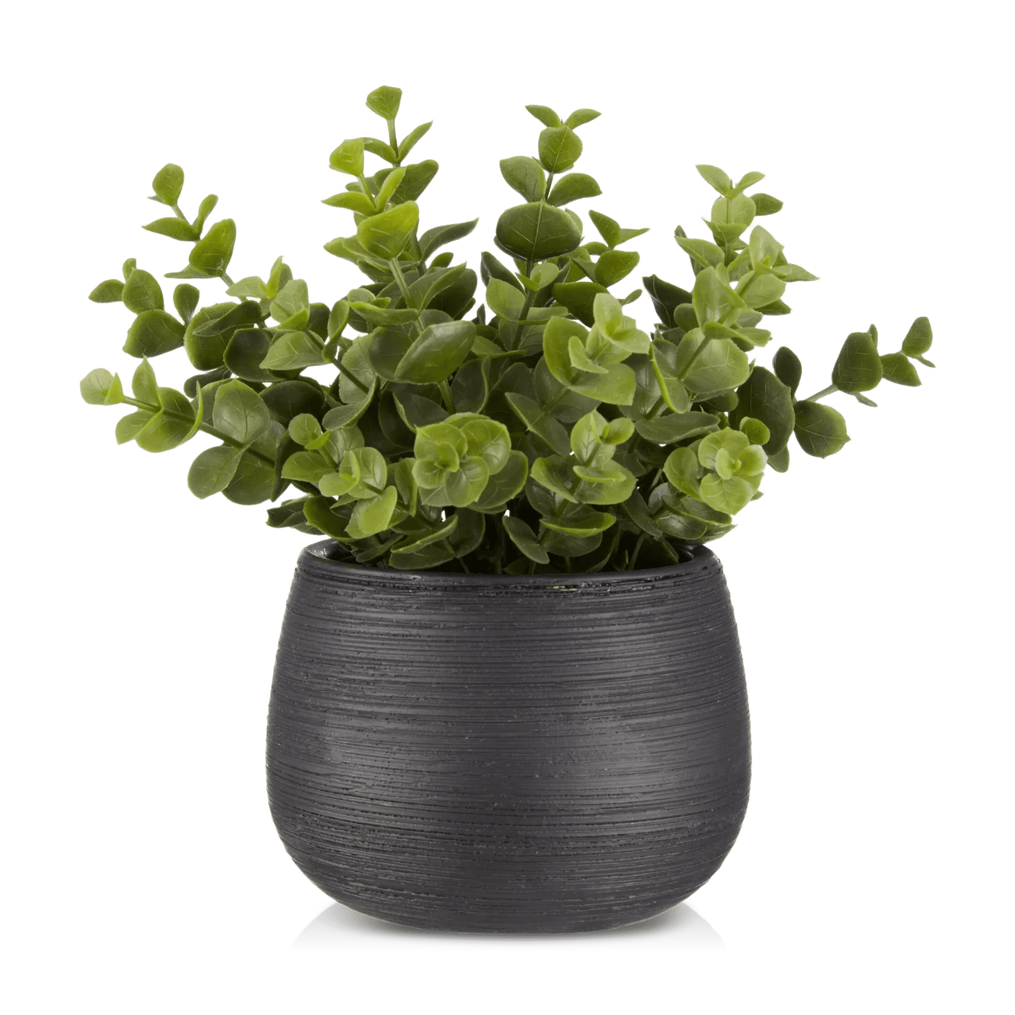 Artificial Plant in Striped Pot