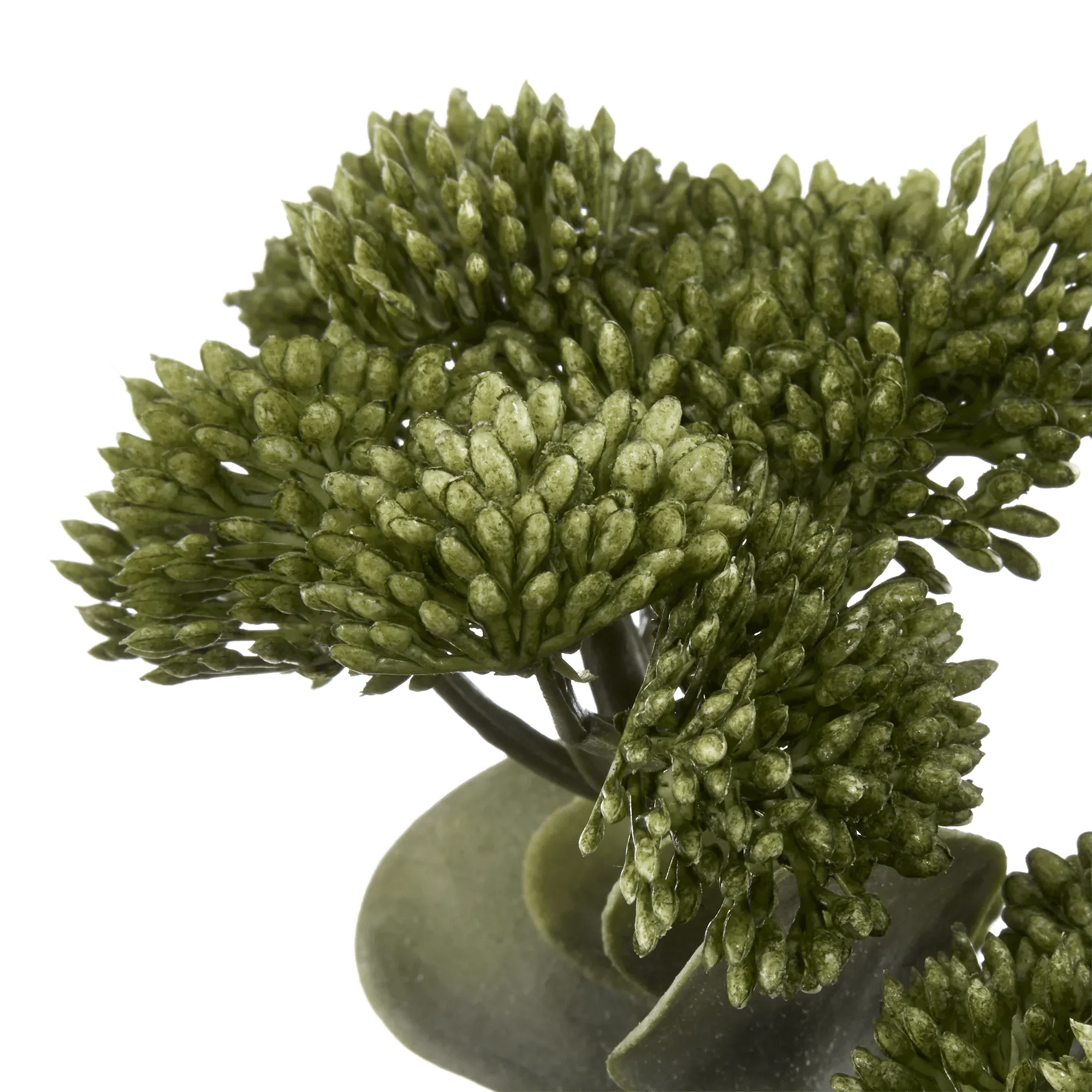 Artificial Sedum Spray Stem - Image 2