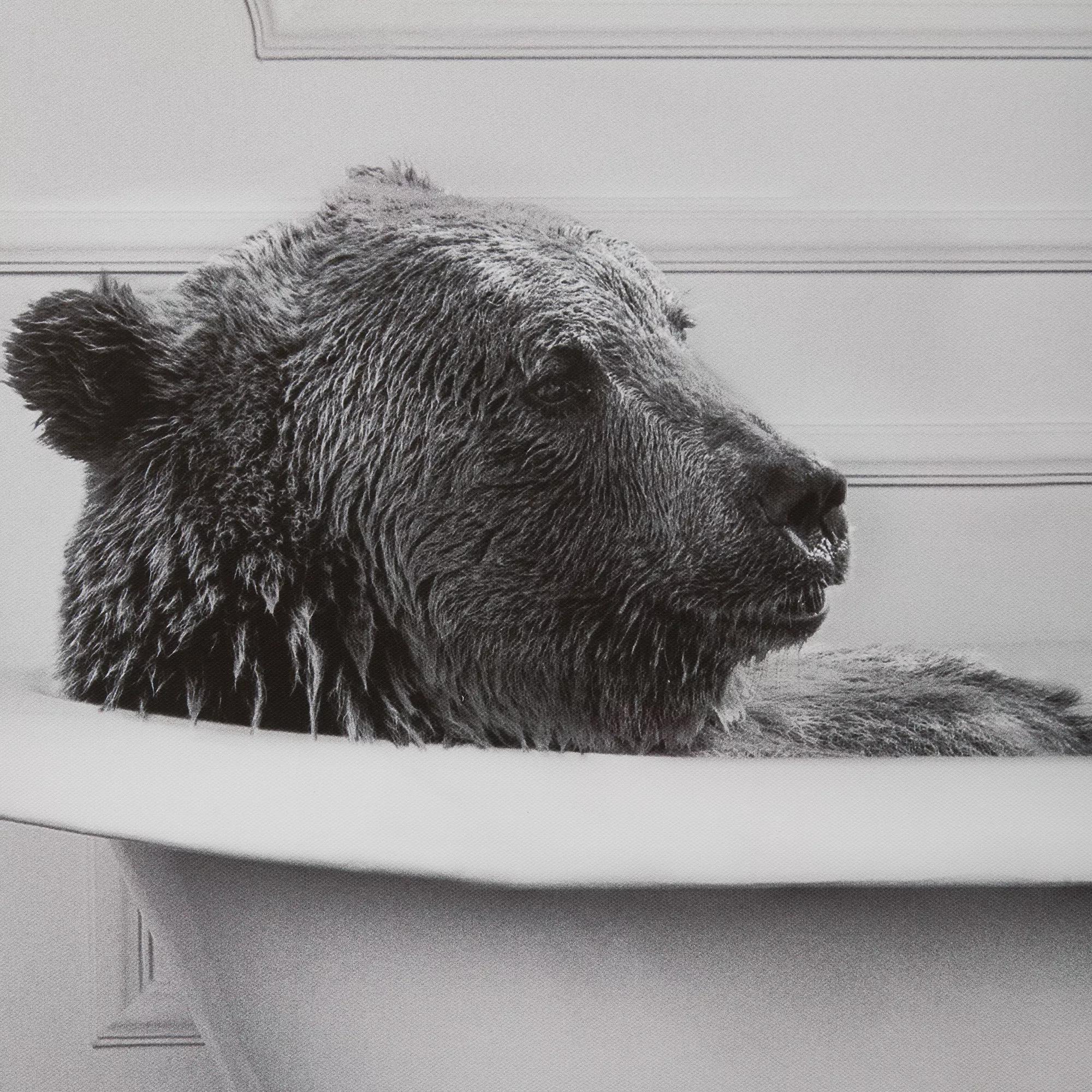 Bear in Bathtub Printed Framed Canvas - Image 4