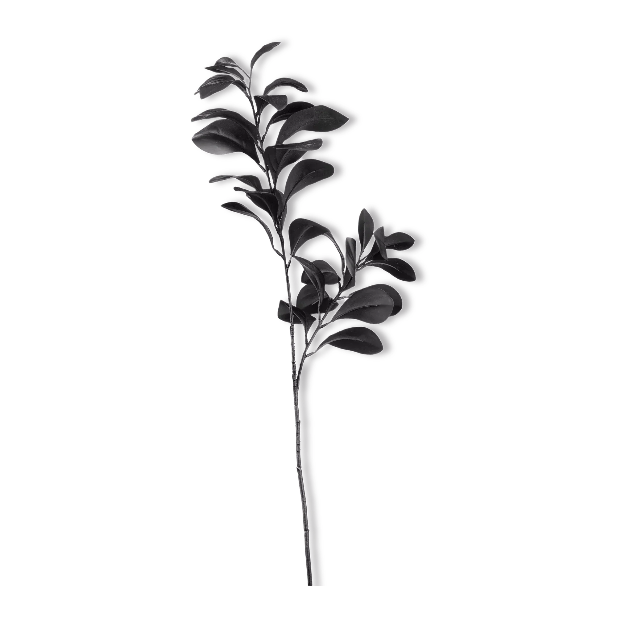Black Leaves