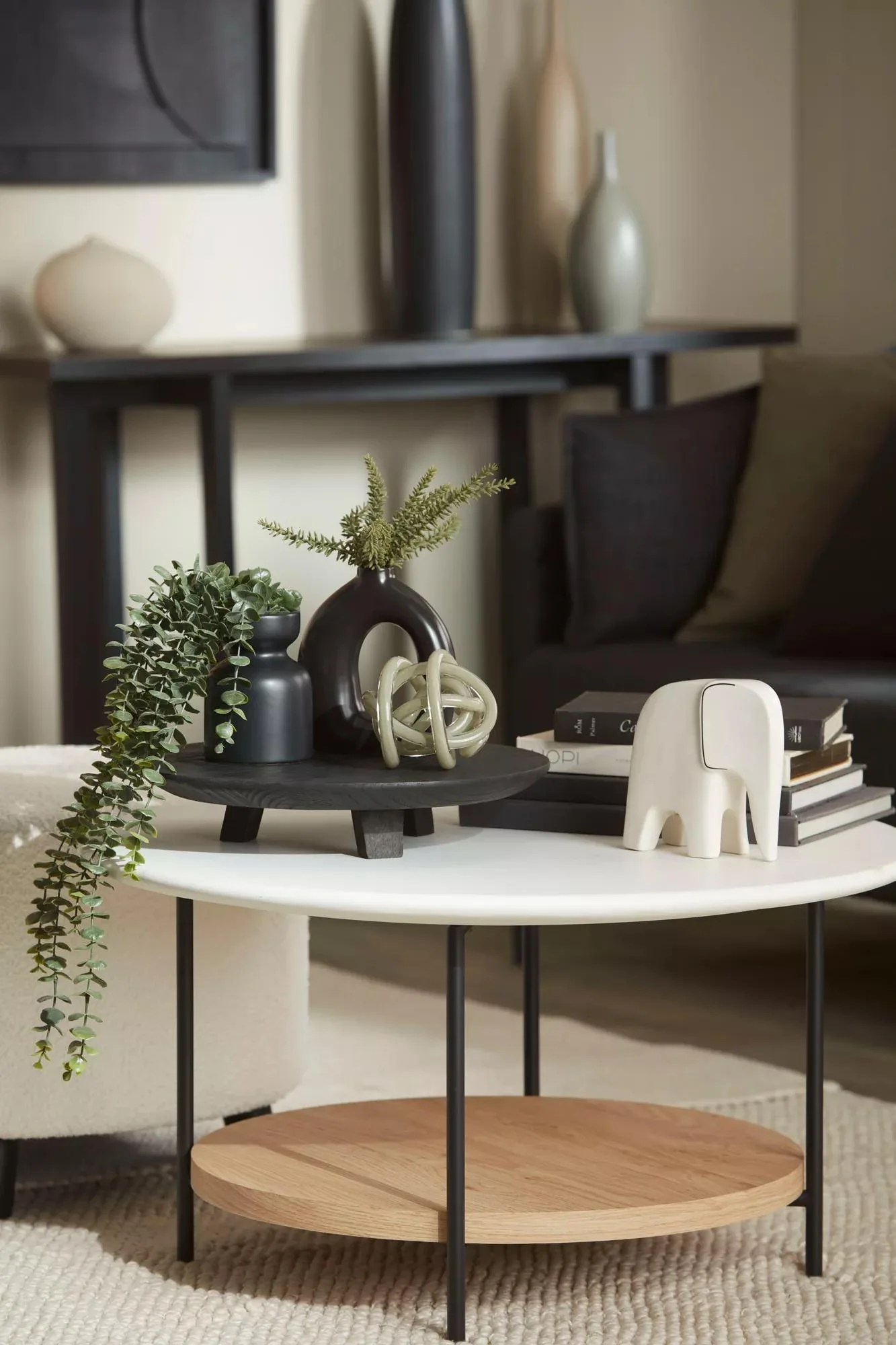 Waterfall Eucalyptus in Black Pot - Image 9