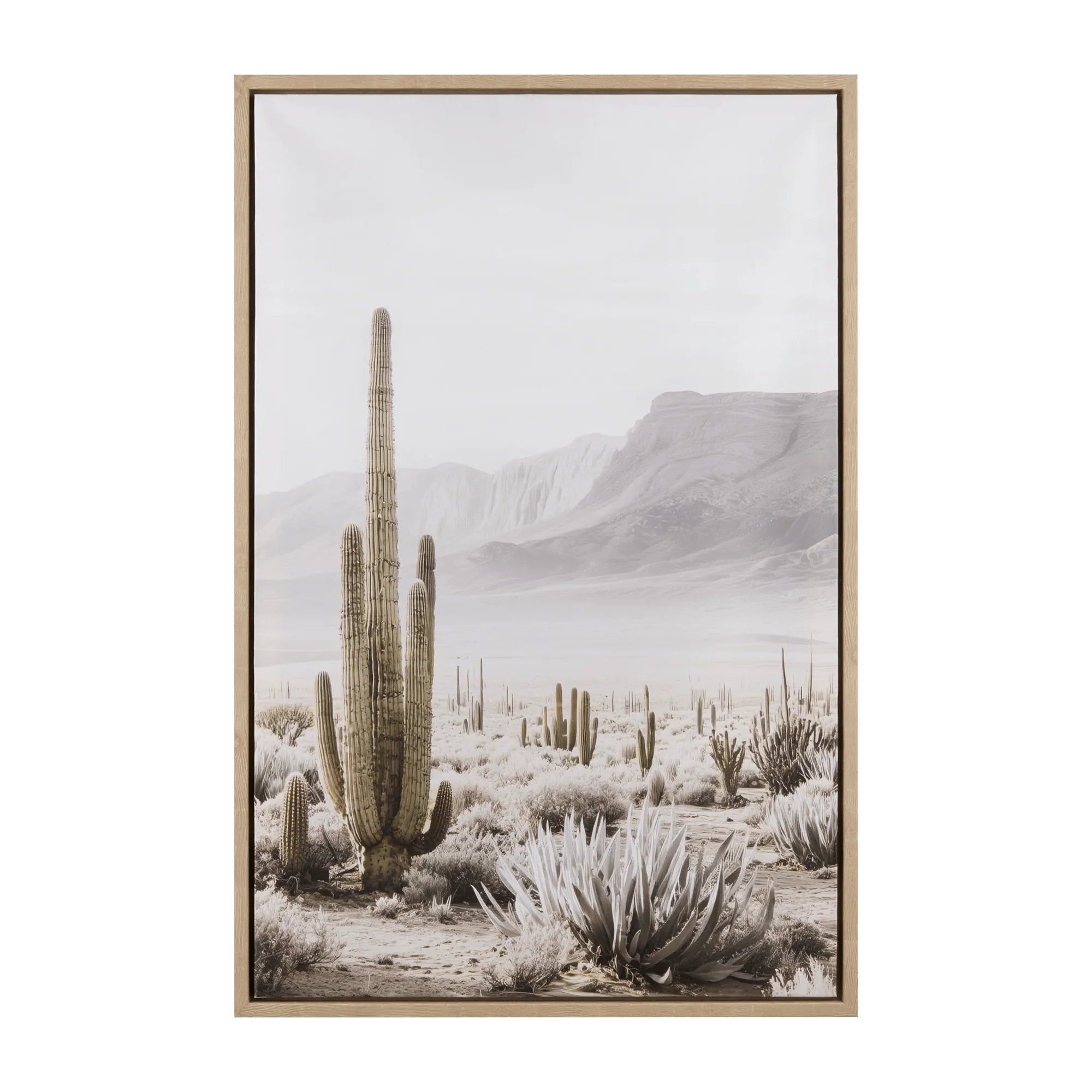 Cactus Printed Framed Canvas
