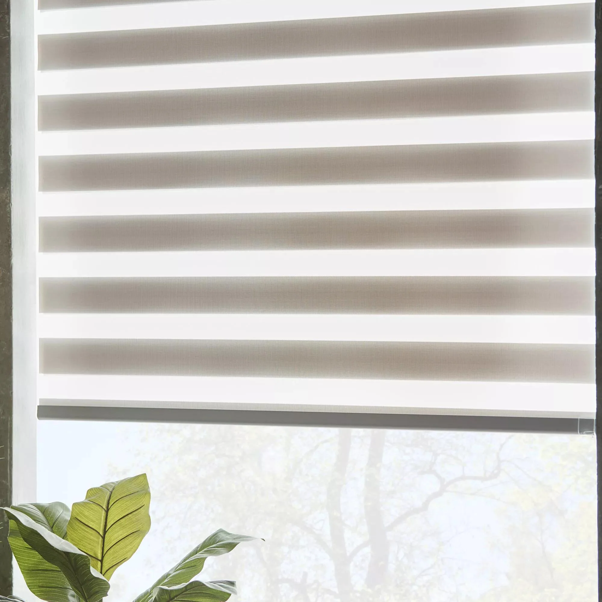Grey Cordless Sheer Shade - Image 4