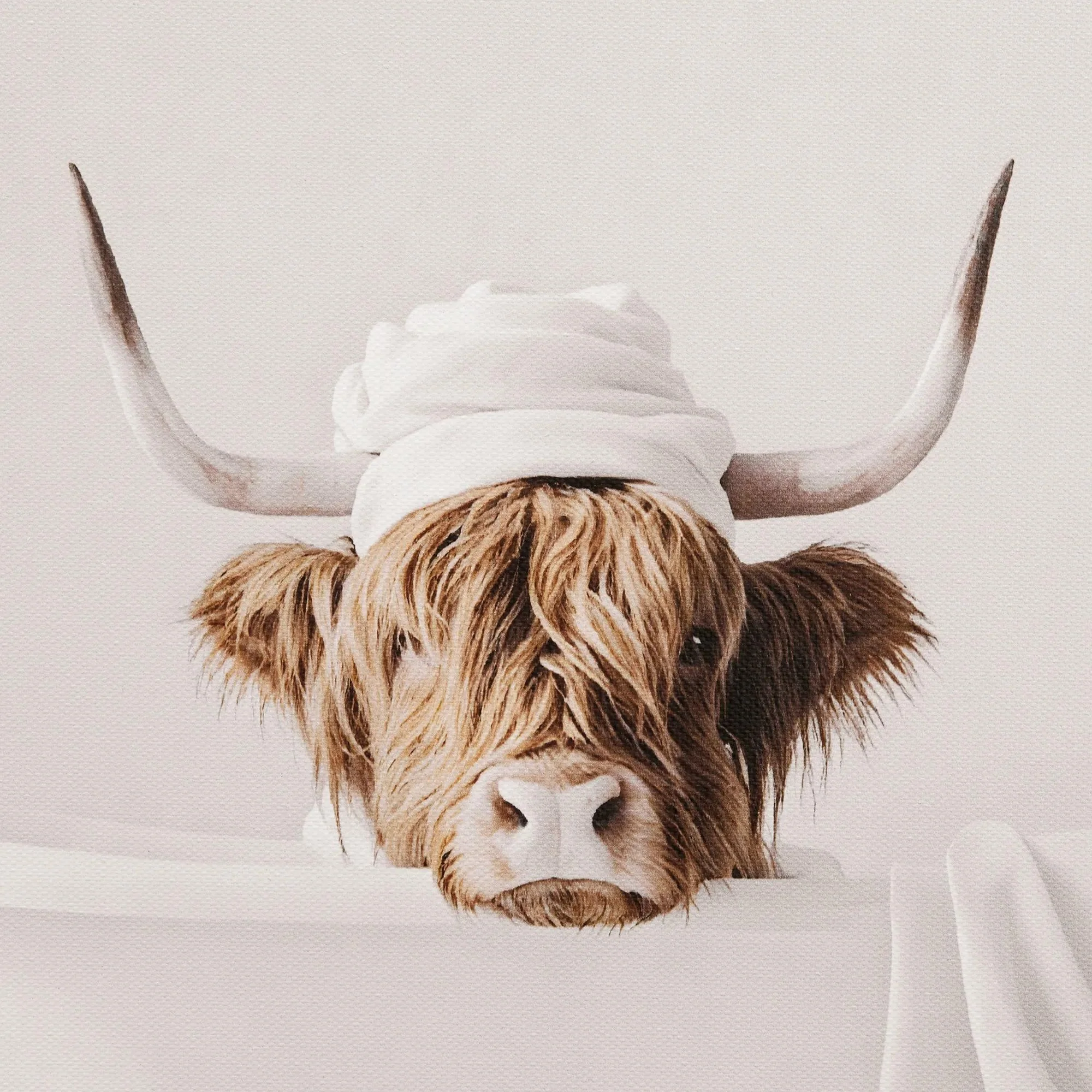 Cow in Bath Framed Canvas - Image 3
