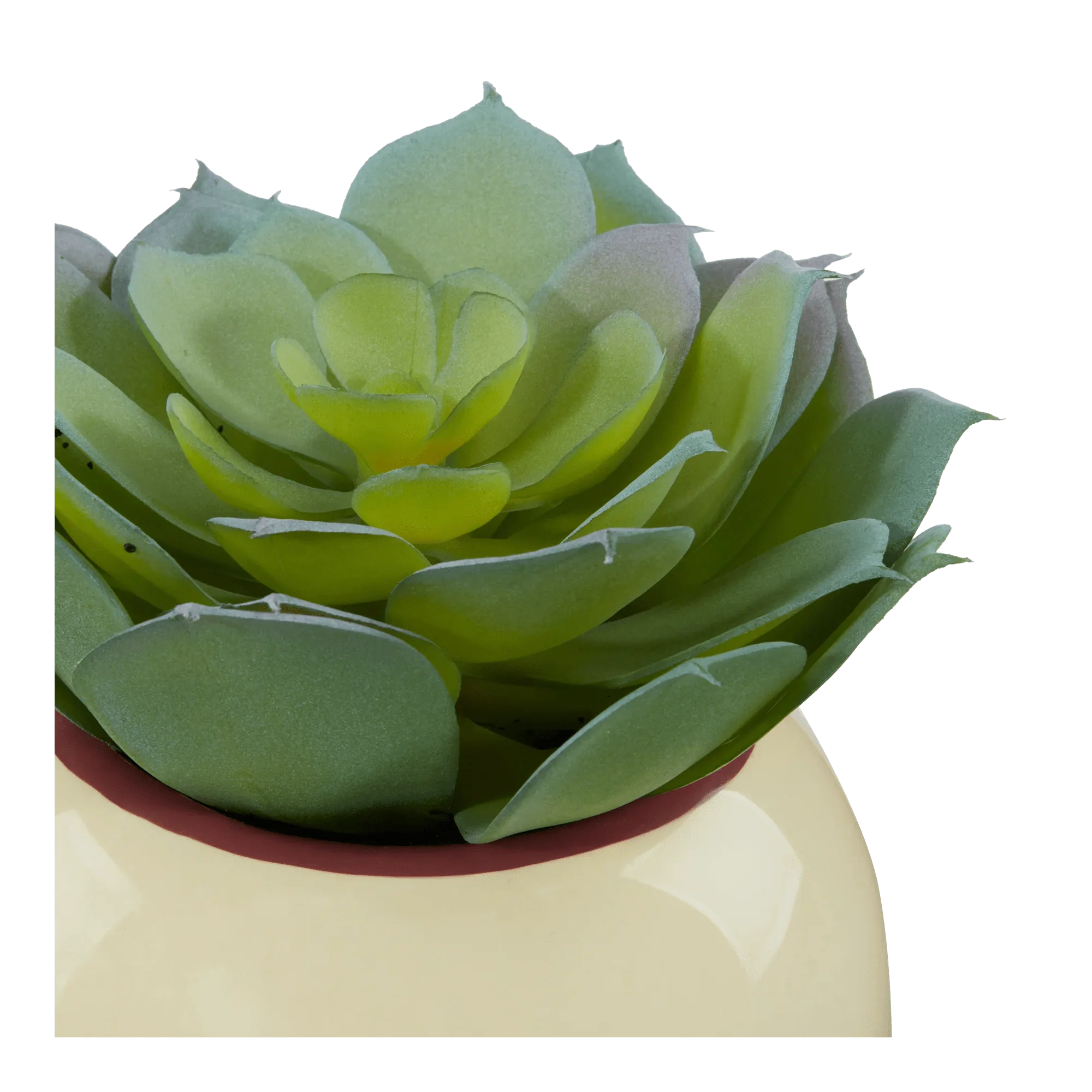 Decorative Artificial Plant Pot Let Love Grow - Image 3