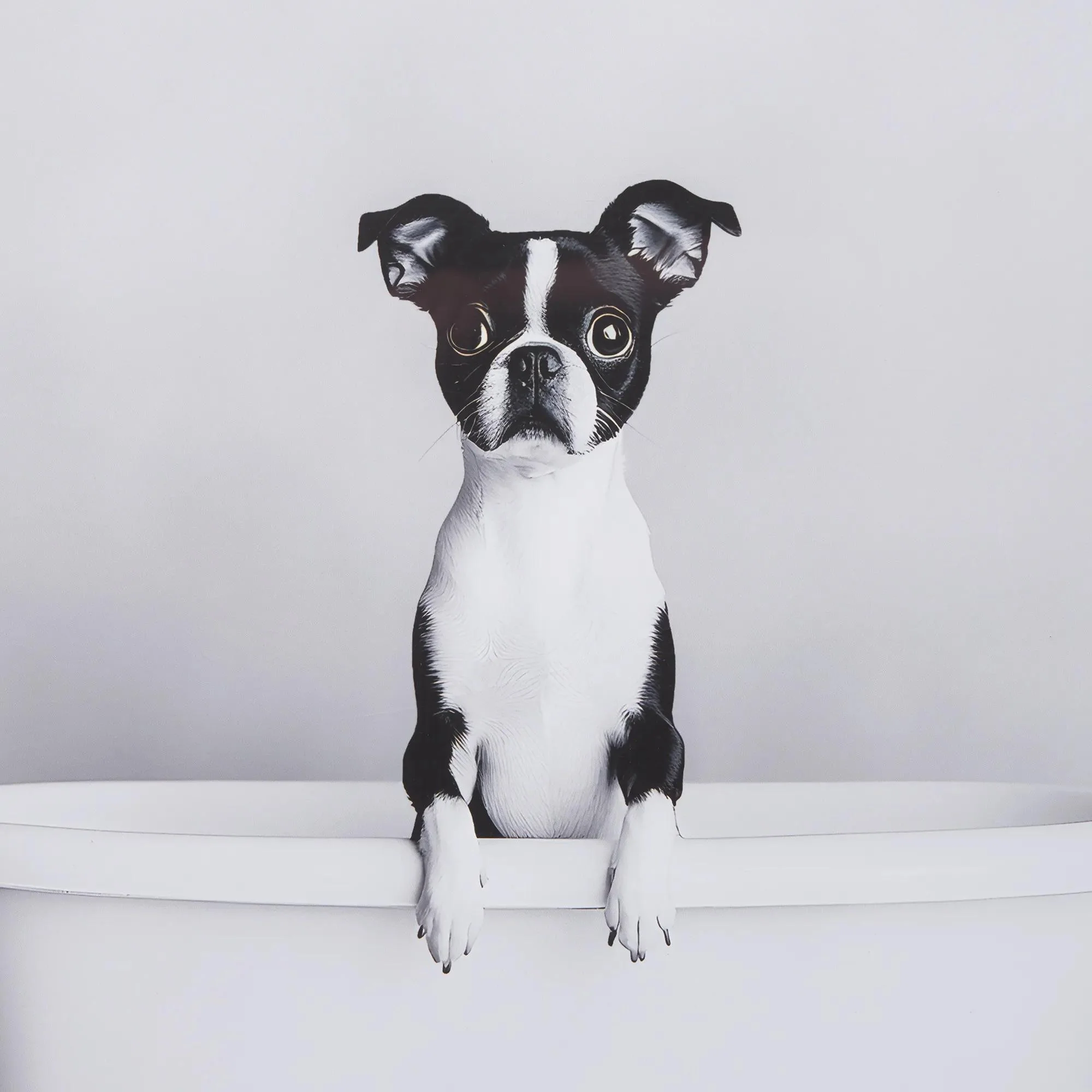 Dog in Bathtub Framed Canvas - Image 3