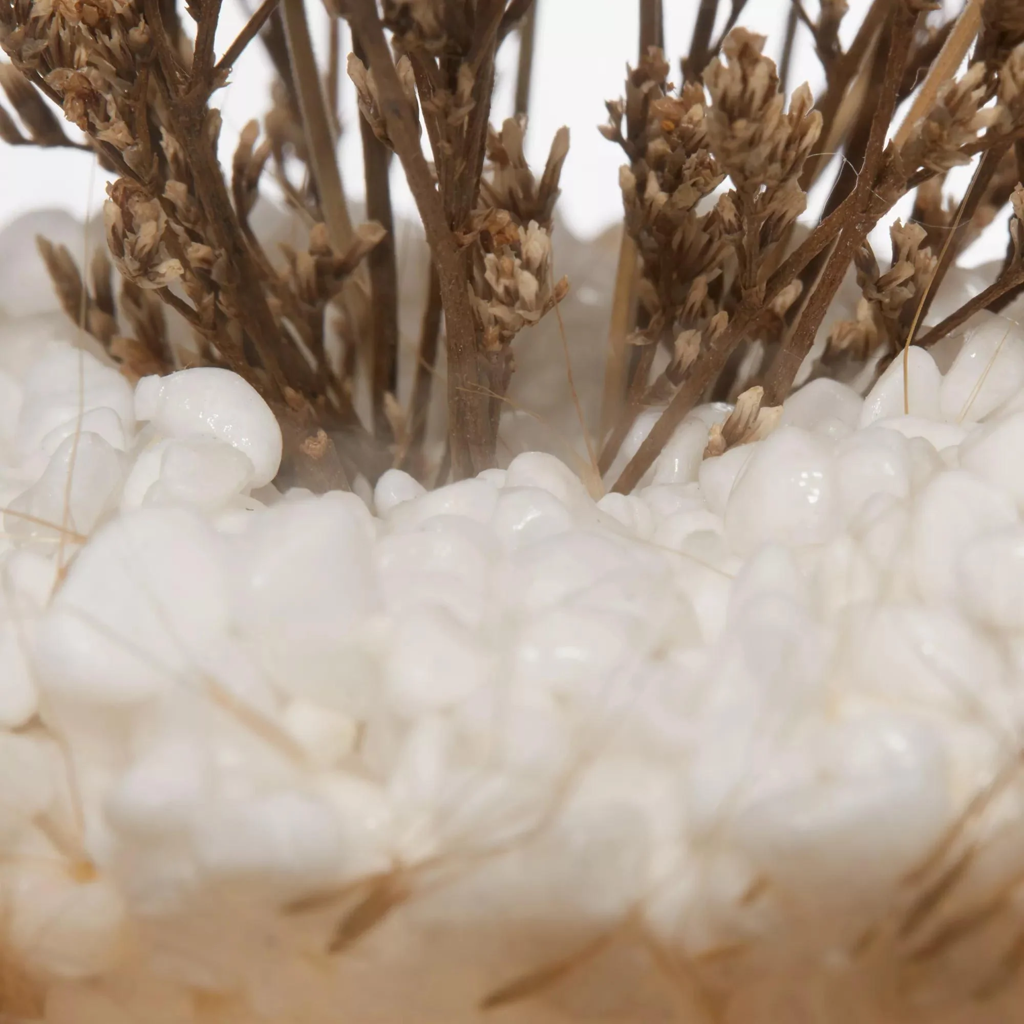 Dried Flowers Glass Dome - Image 9