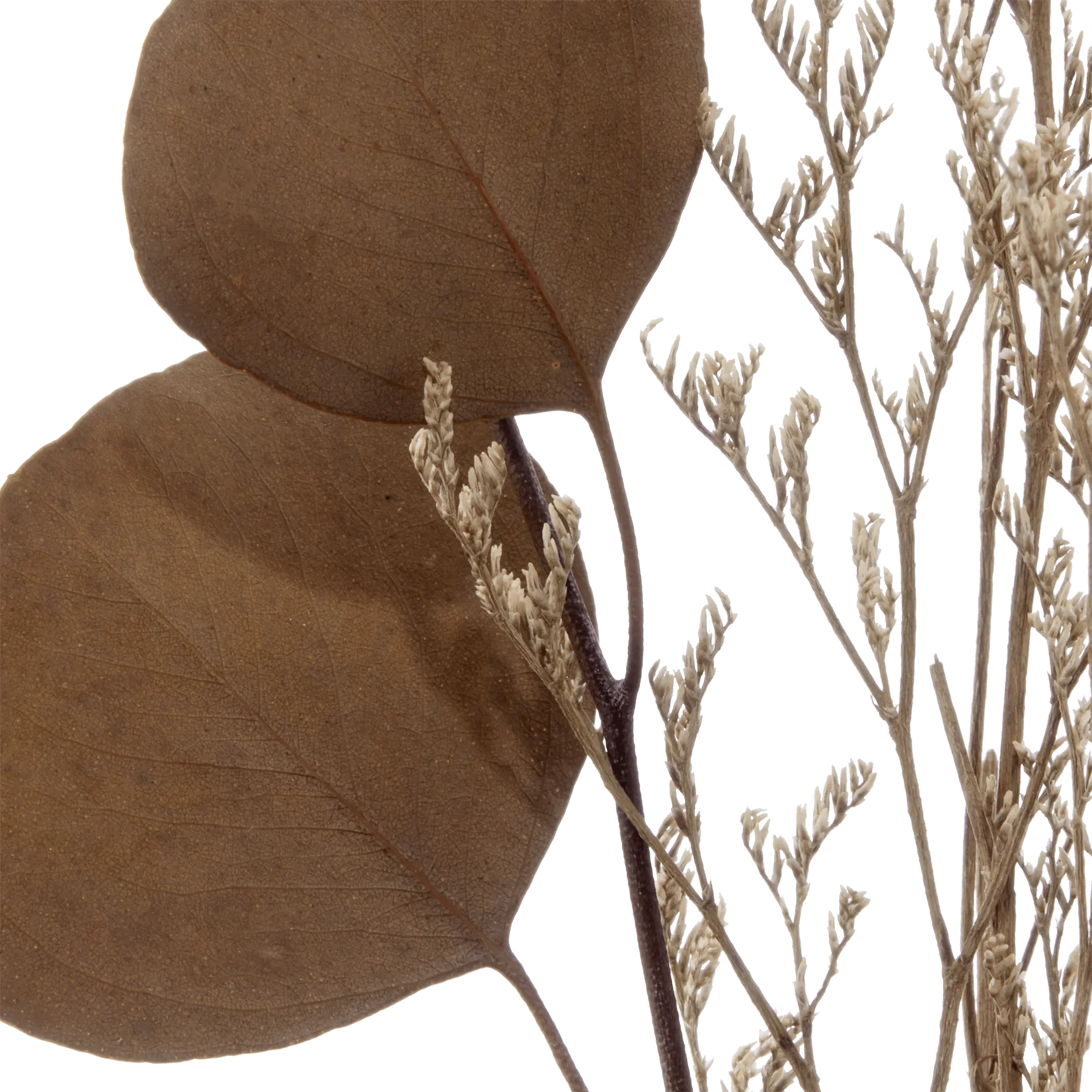 Dried Stem in a Vase - Image 3