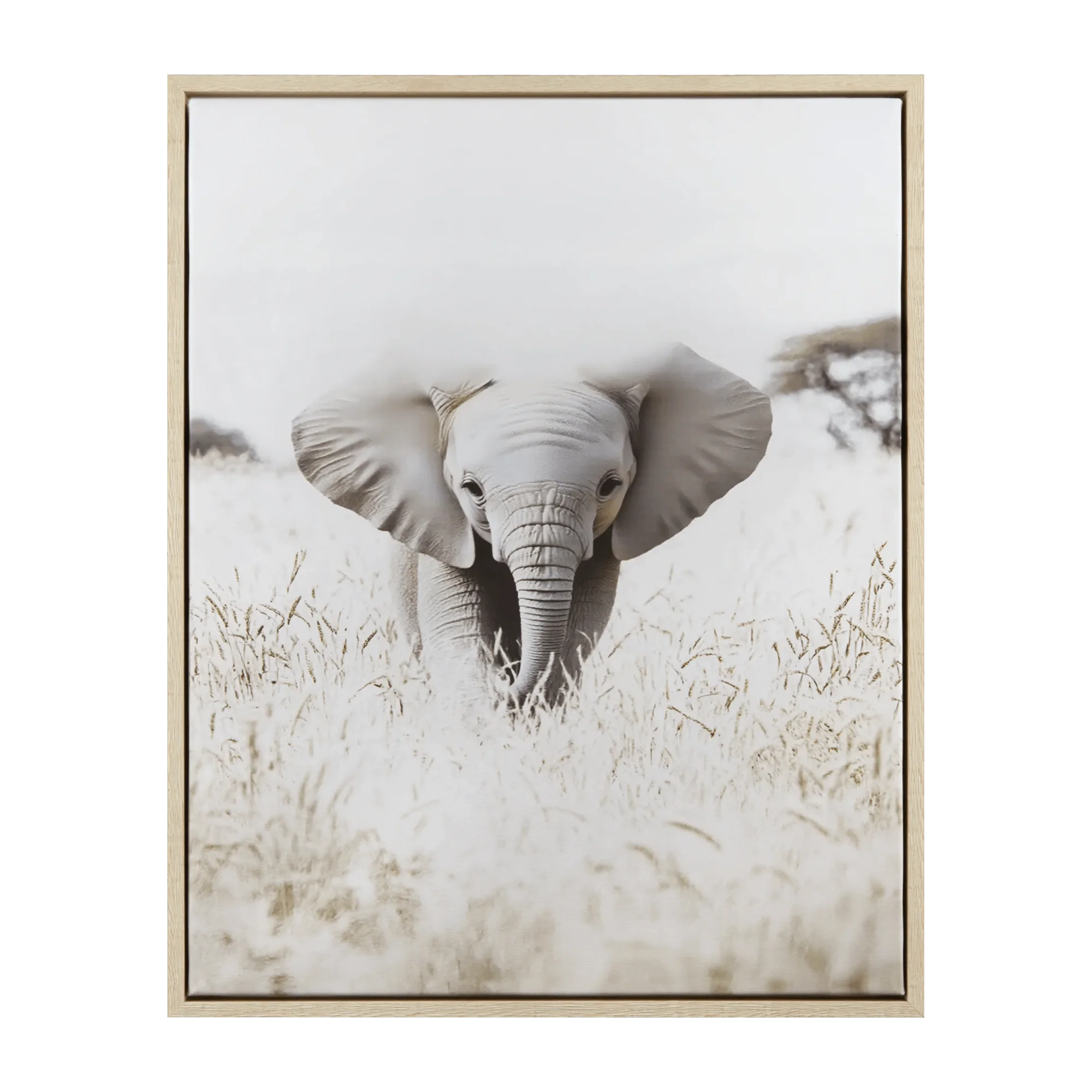 Elephant Framed Art