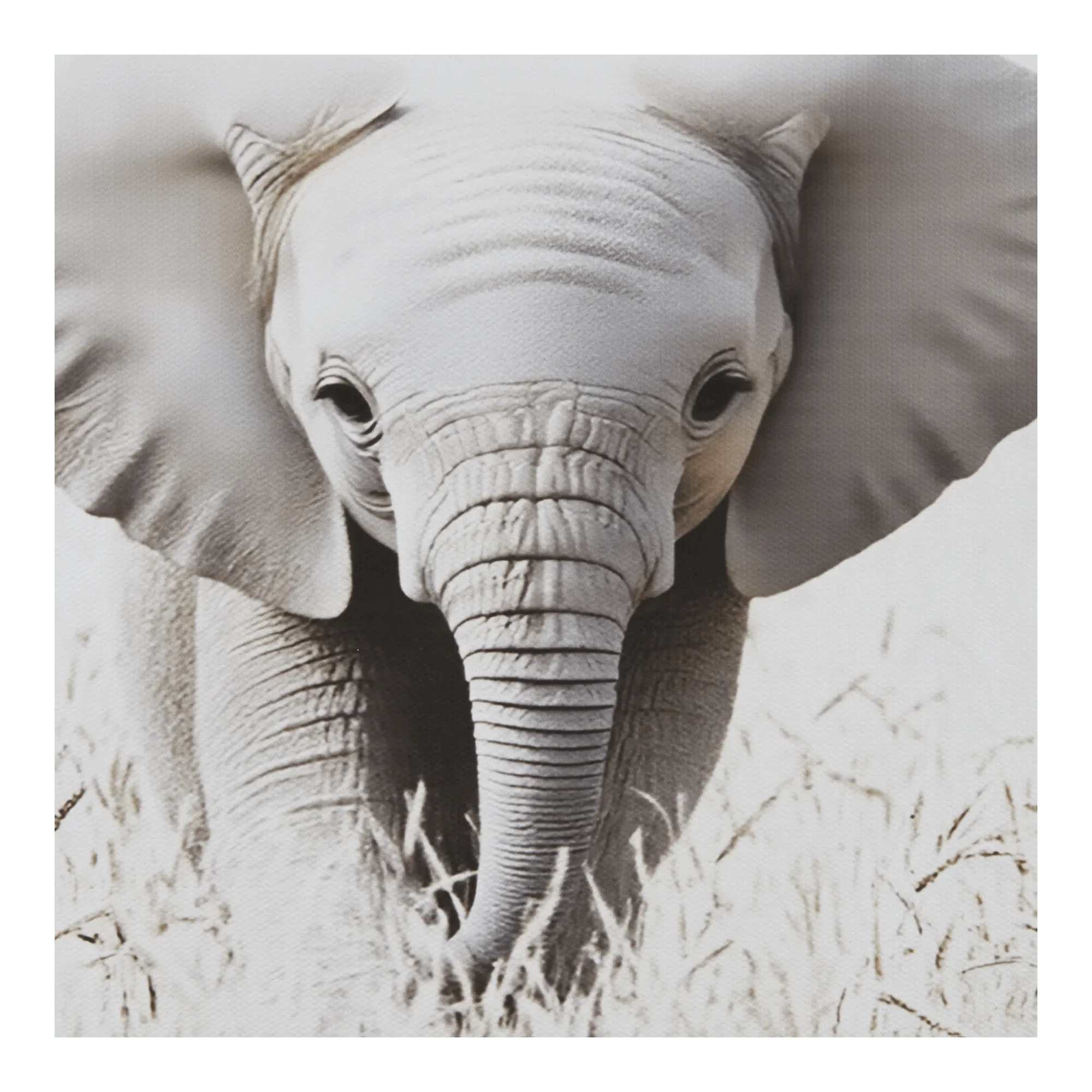 Elephant Framed Art - Image 2