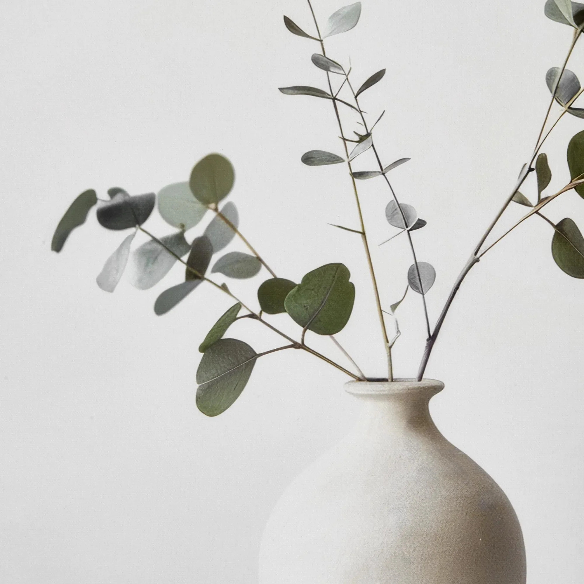 Eucalyptus in a Vase Framed Art - Image 2