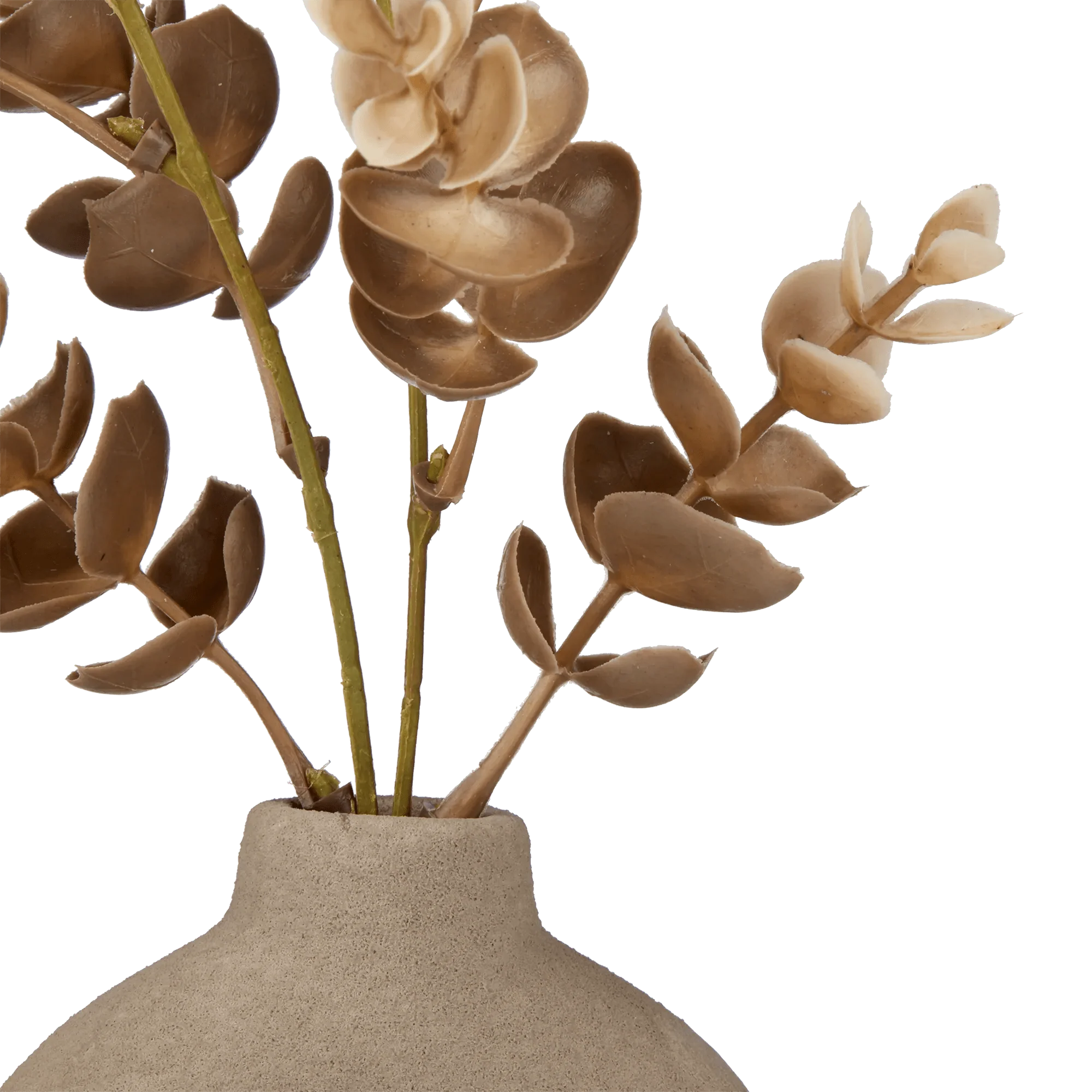 Eucalyptus in Loop Vase - Image 3