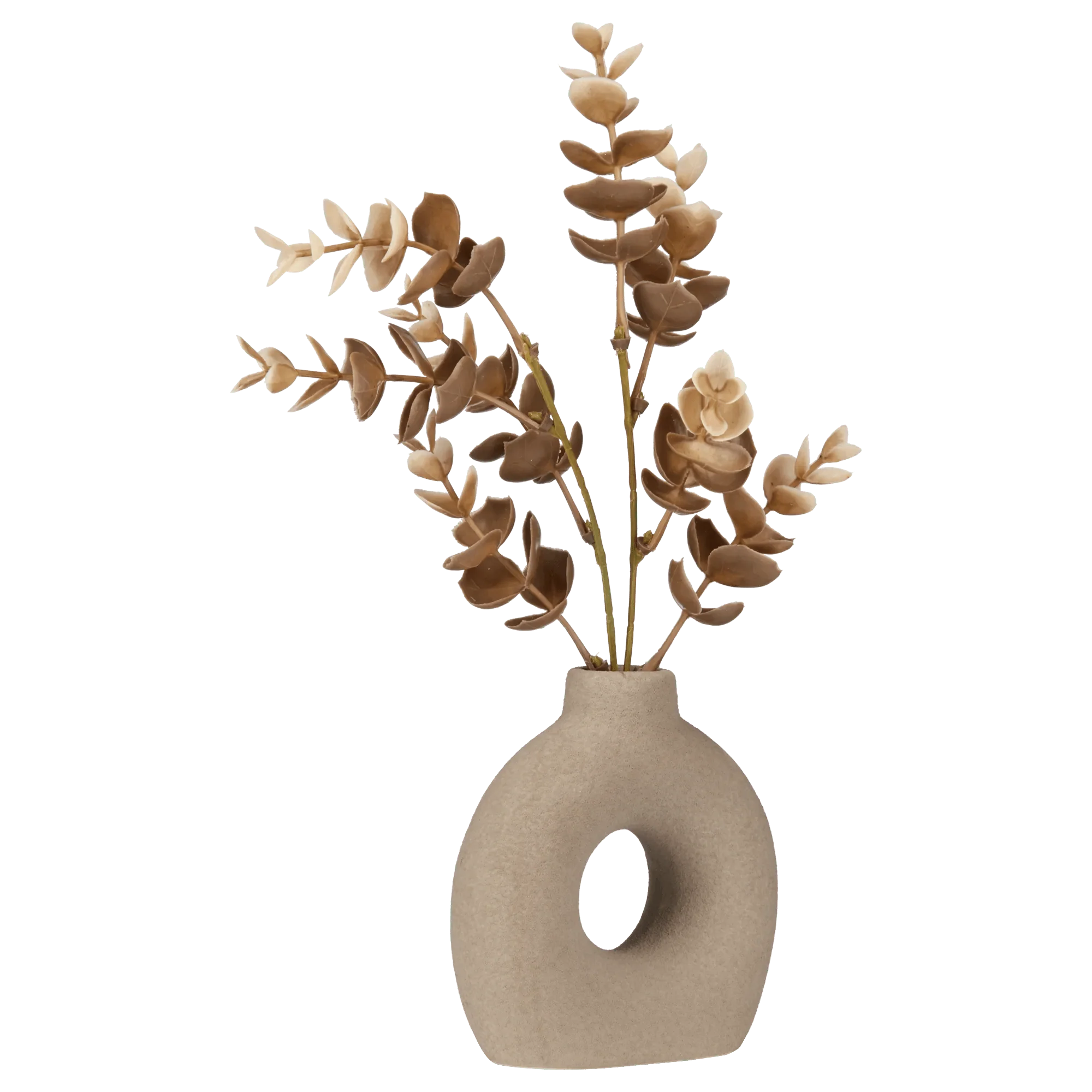 Eucalyptus in Loop Vase - Image 4