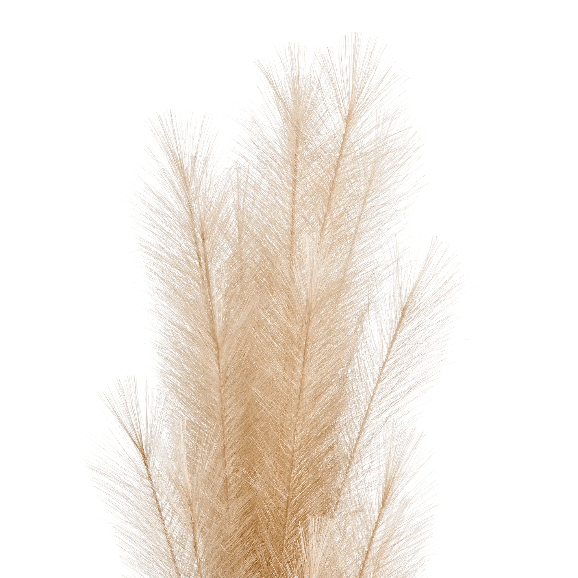 Faux Stem - Image 4