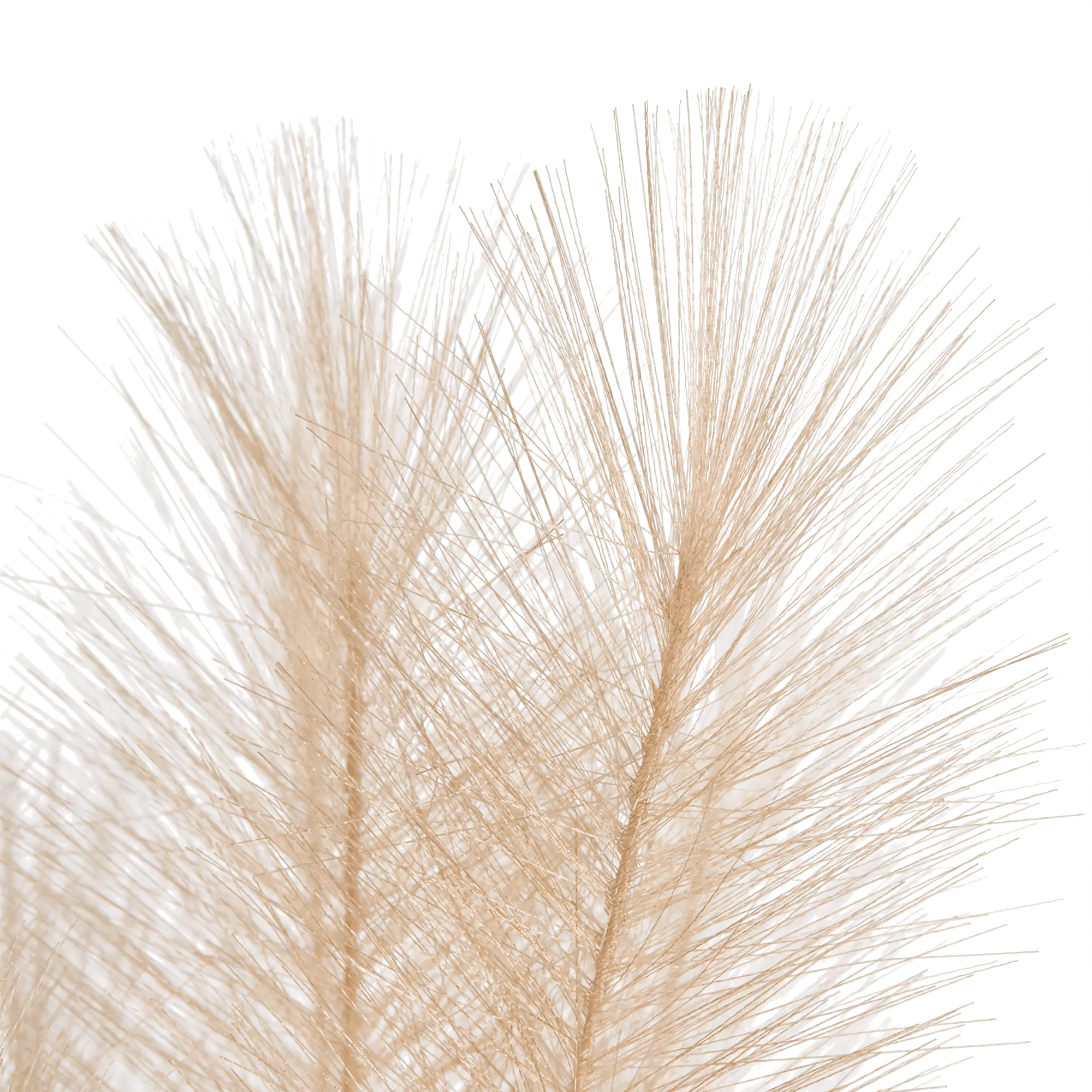 Faux Stem - Image 5