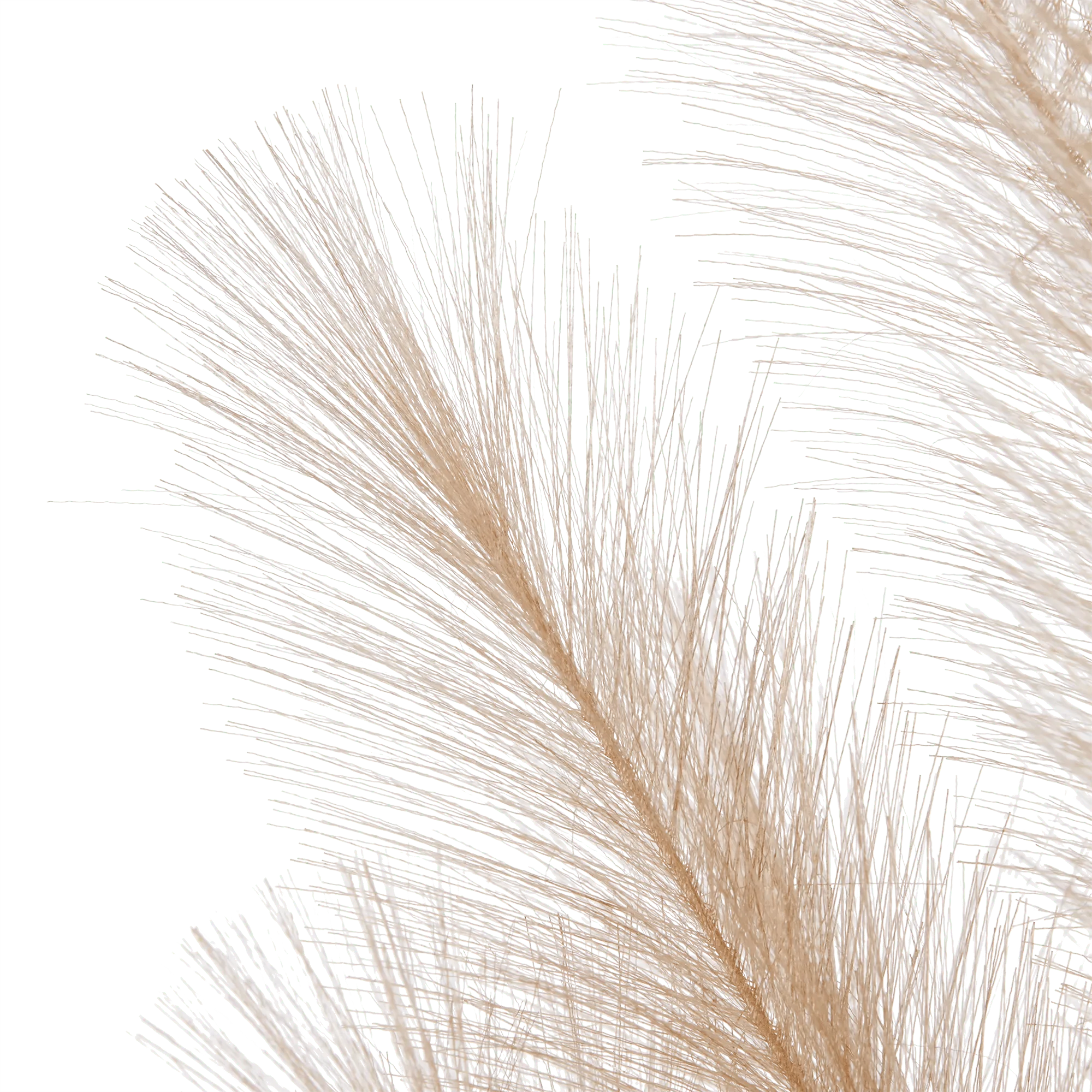 Faux Stem - Image 7