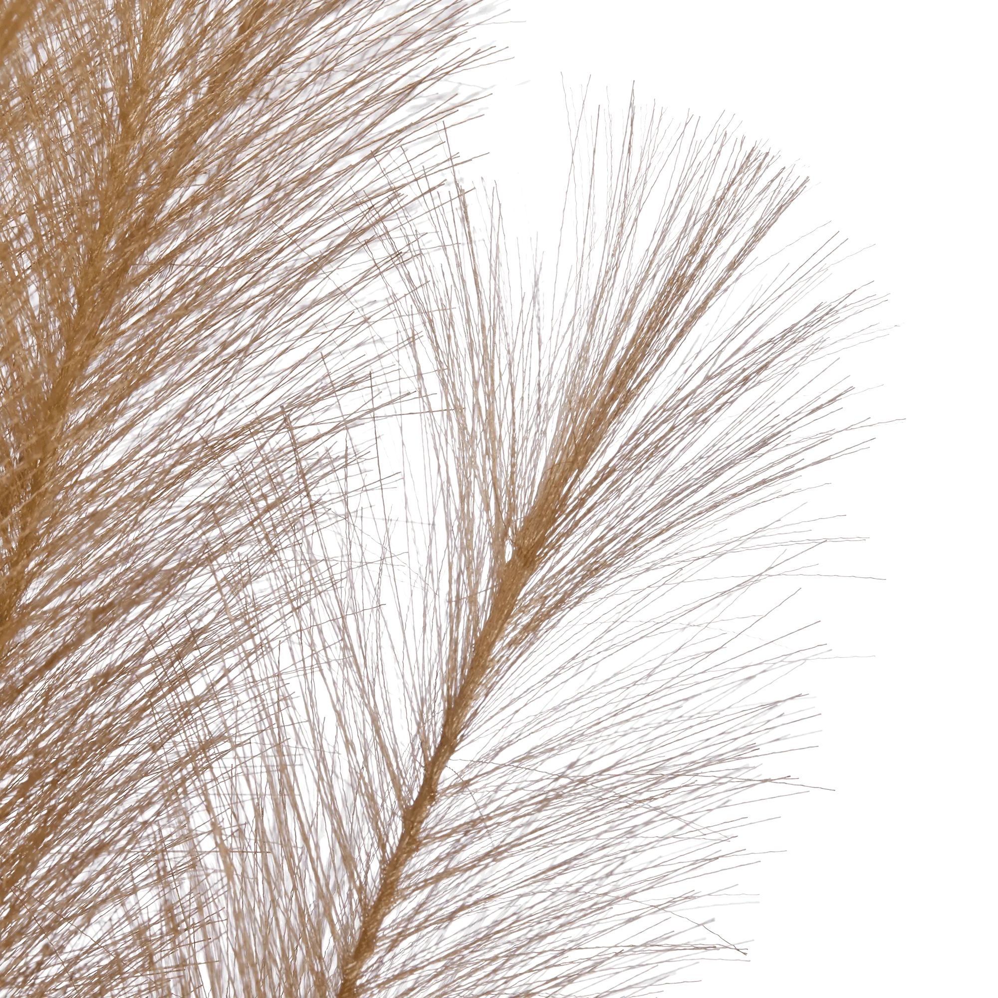 Faux Stem - Image 2
