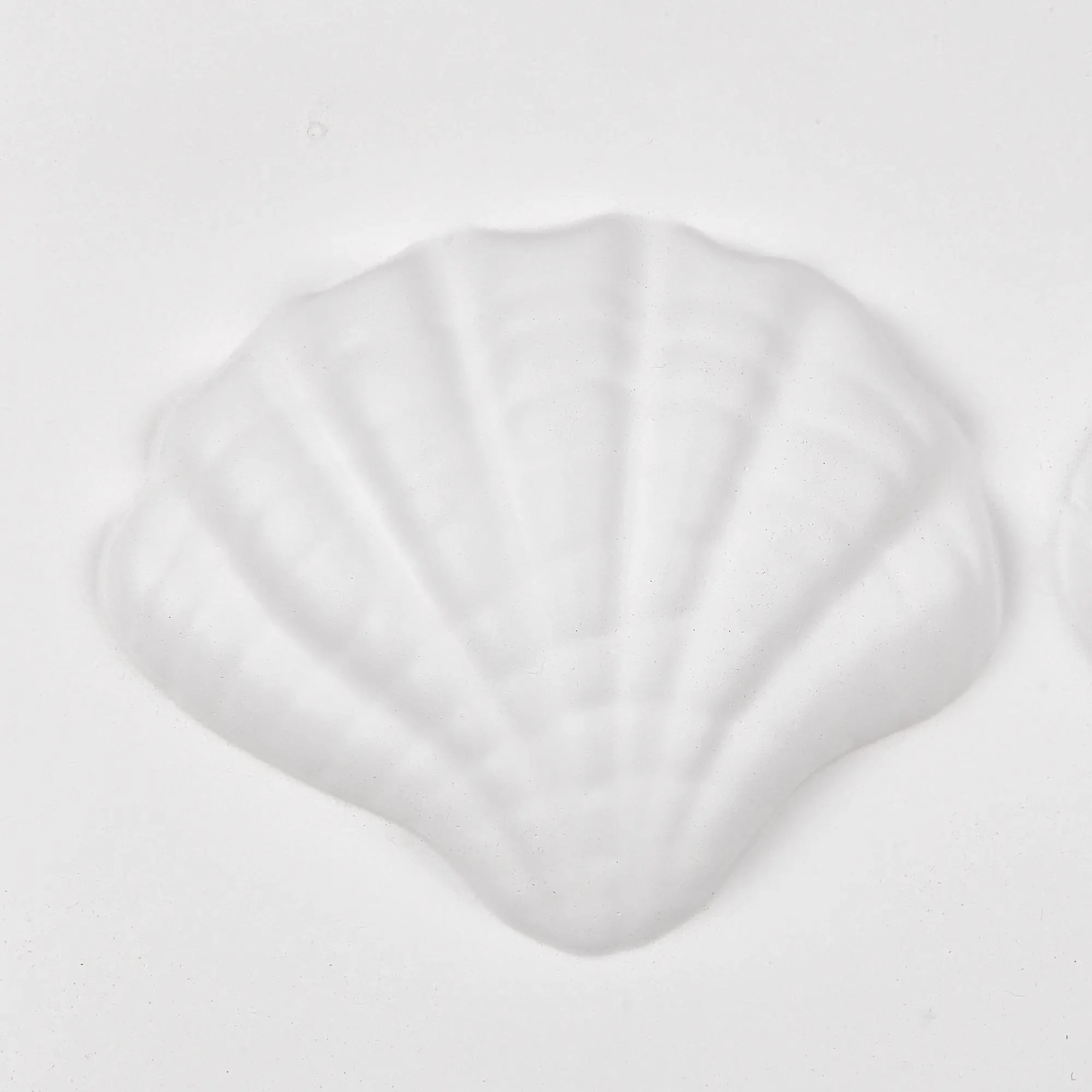 Framed Art 3D Shells - Image 3