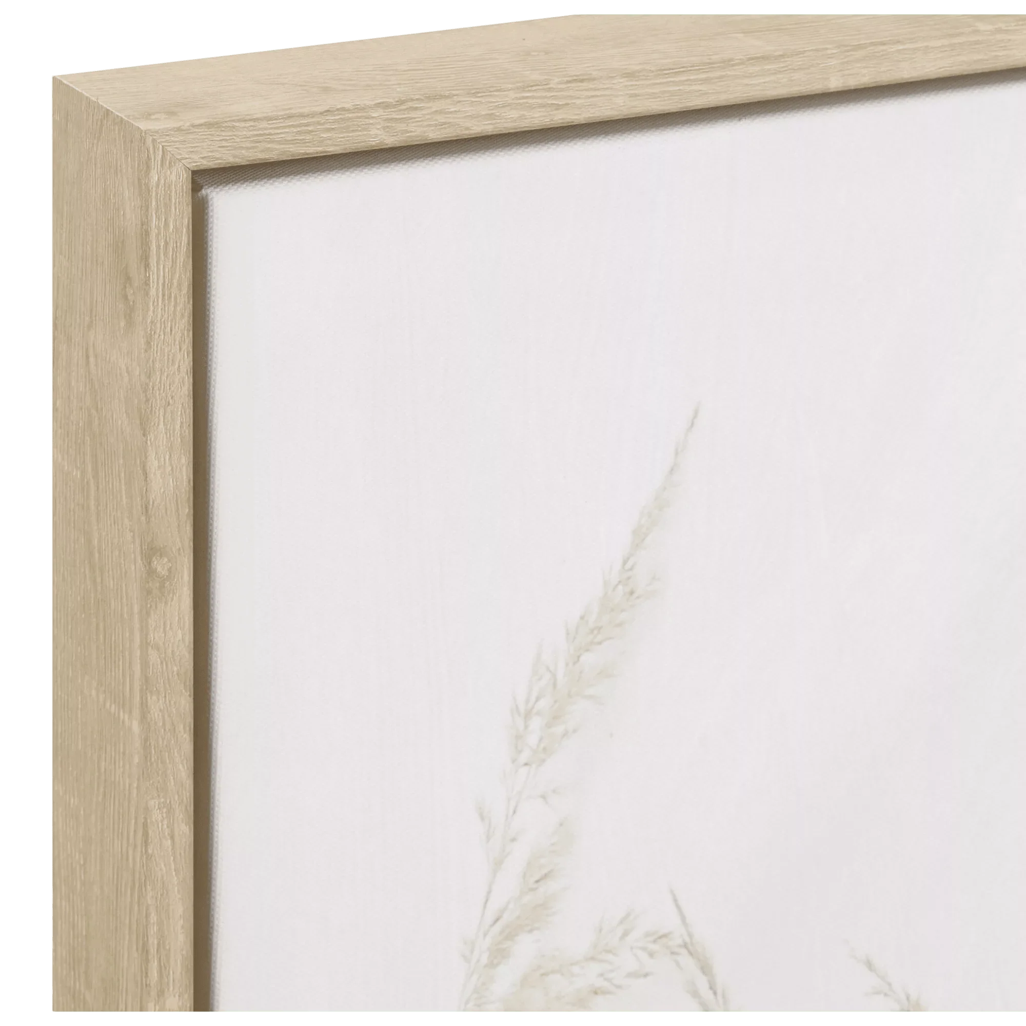 Framed Eucalyptus and Pampas - Image 4